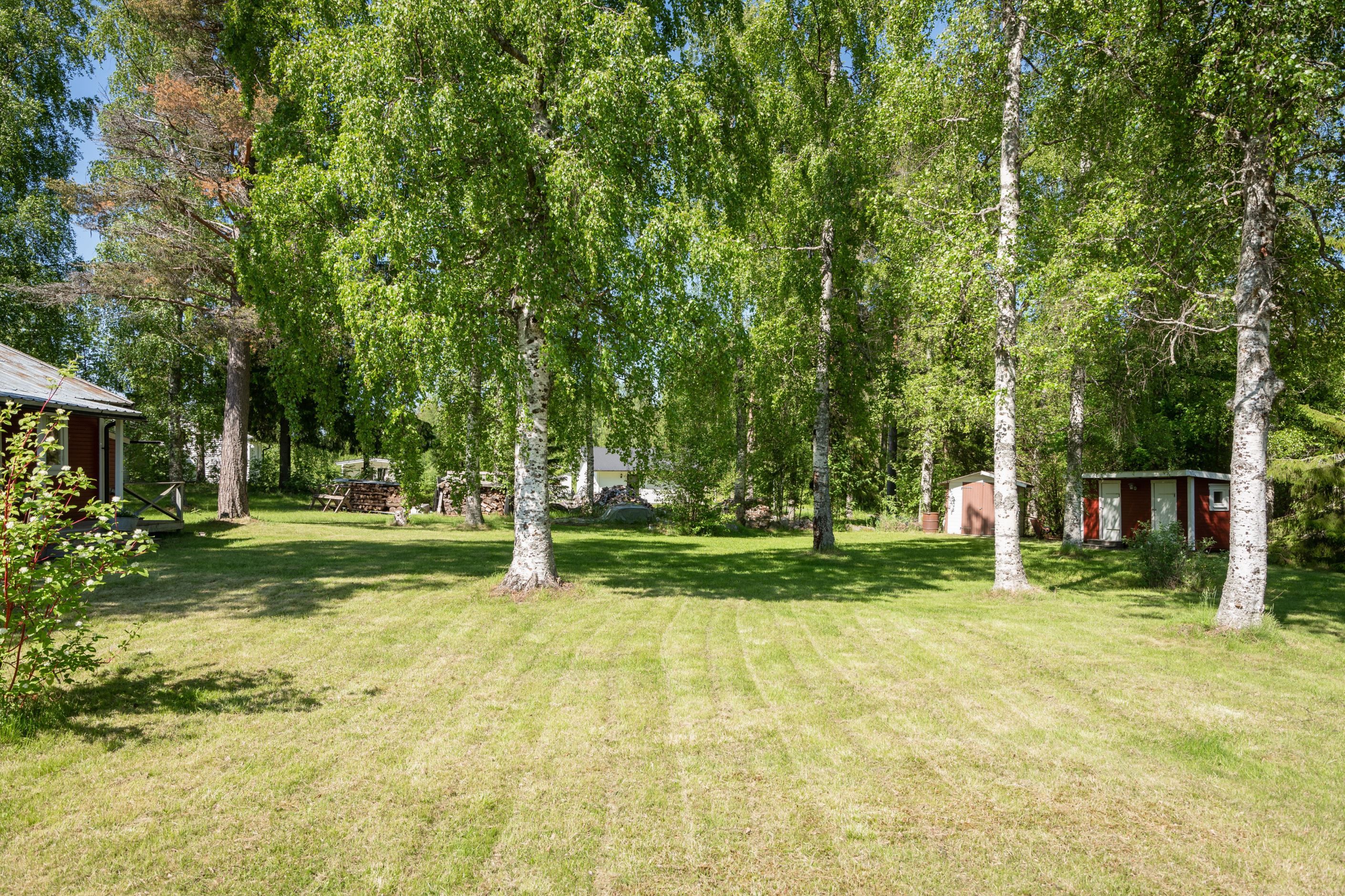 Bildkategori
