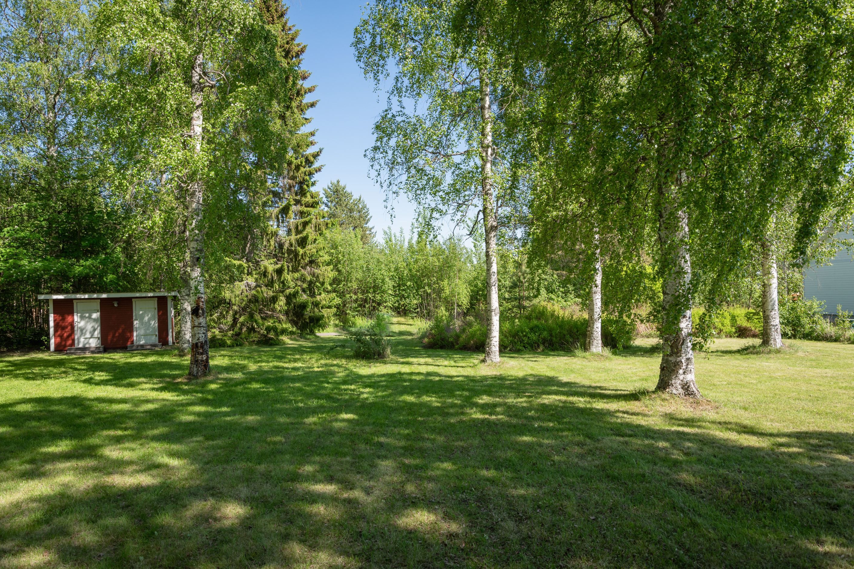 Bildkategori