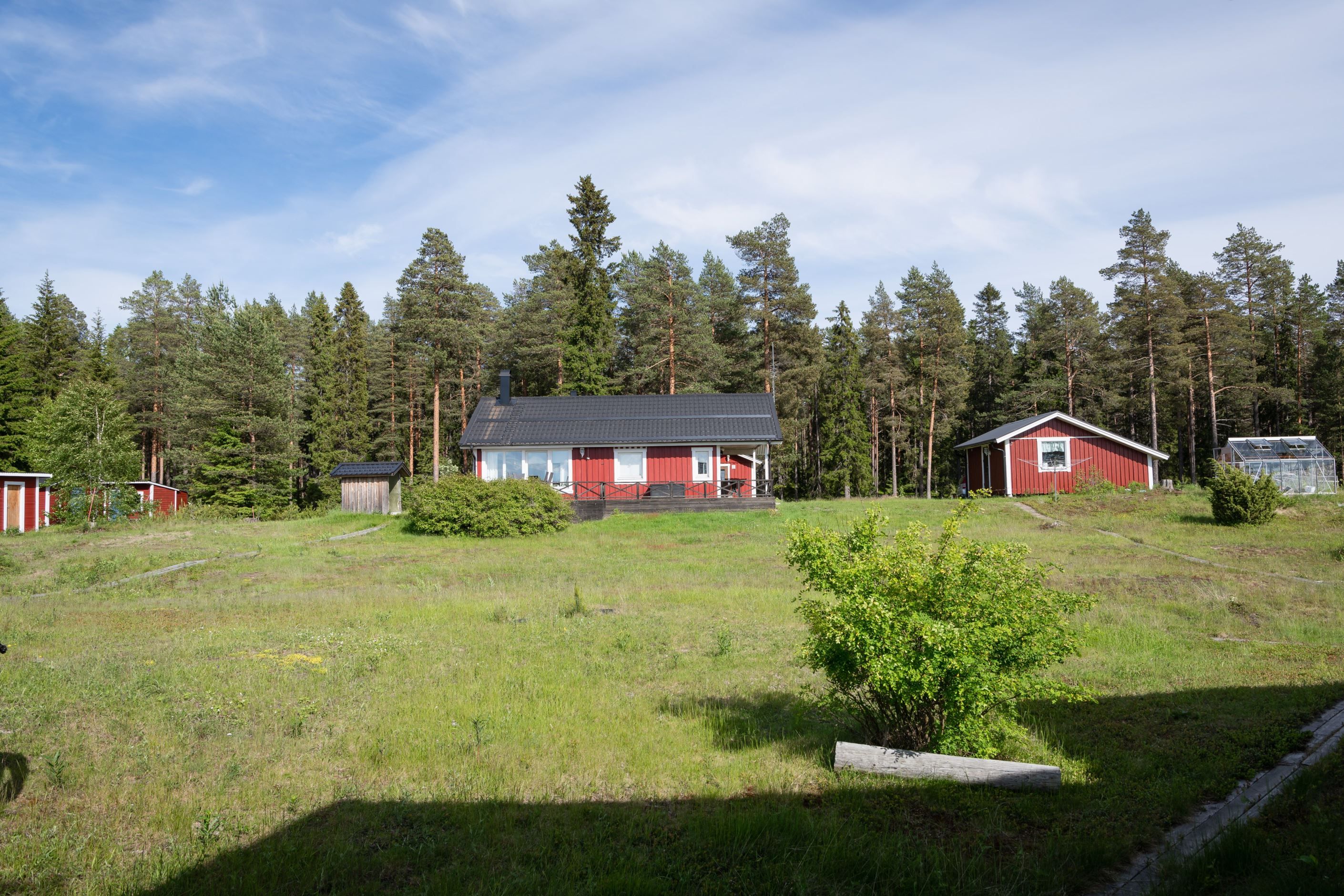 Bildkategori