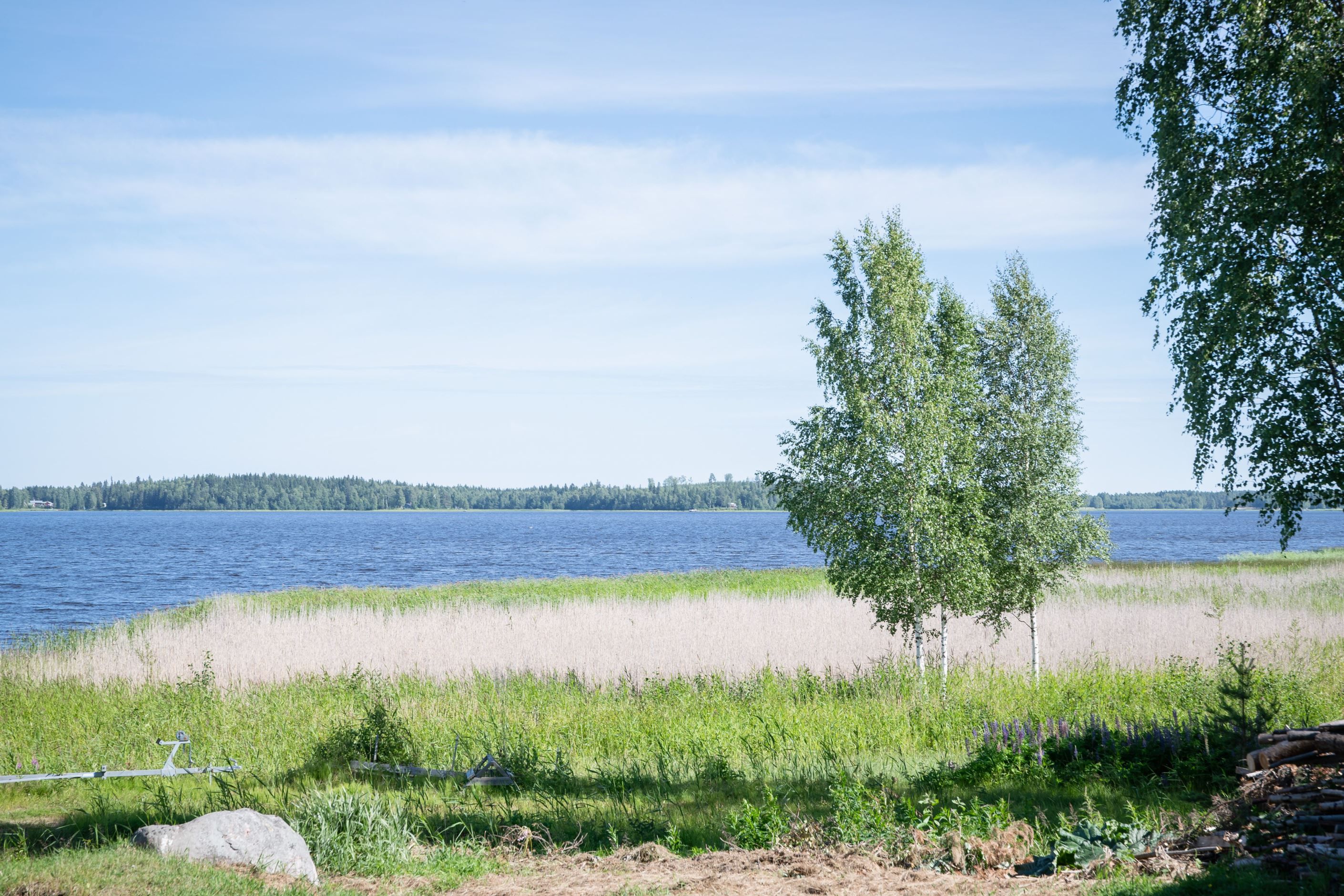 Bildkategori