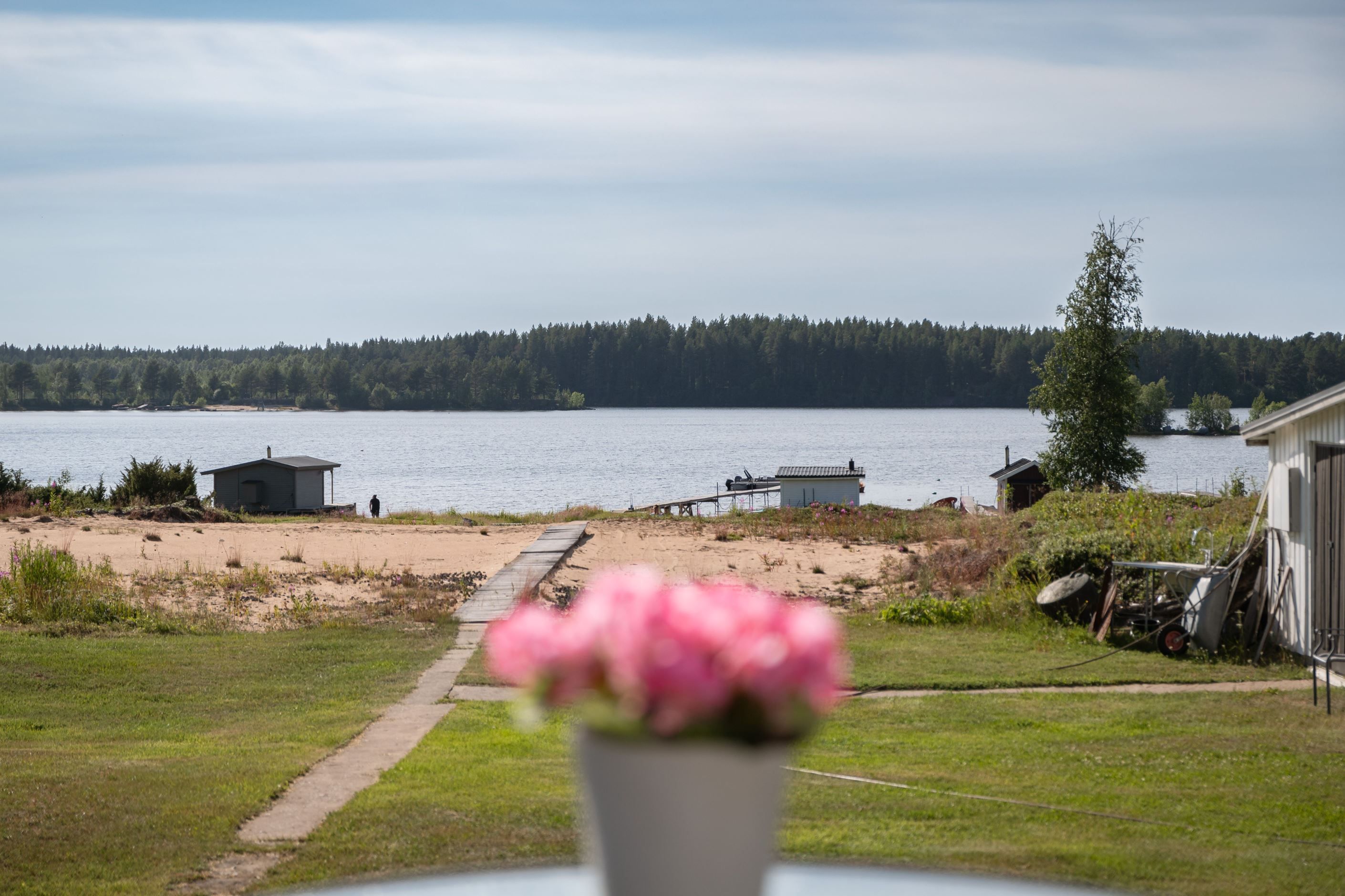 Bildkategori