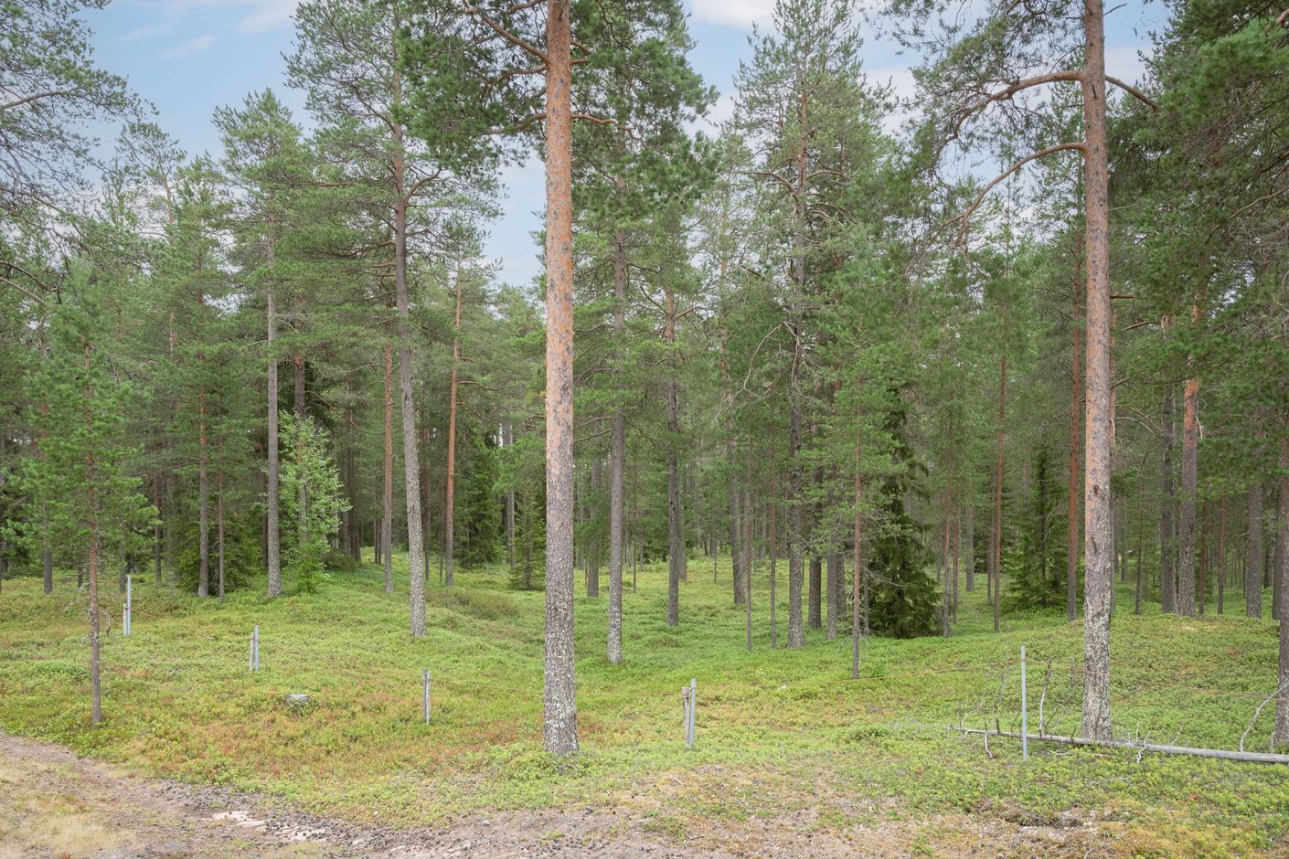 Bildkategori