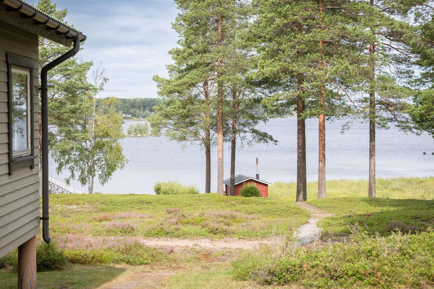 Bildkategori