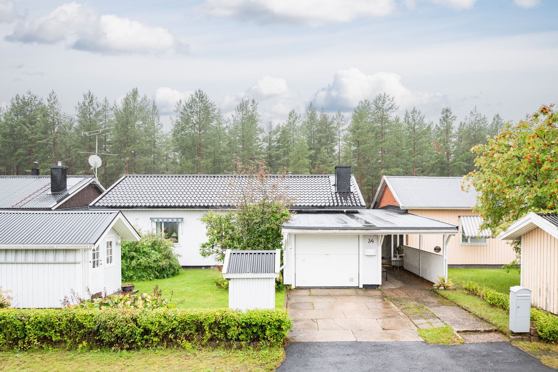 Exteriör