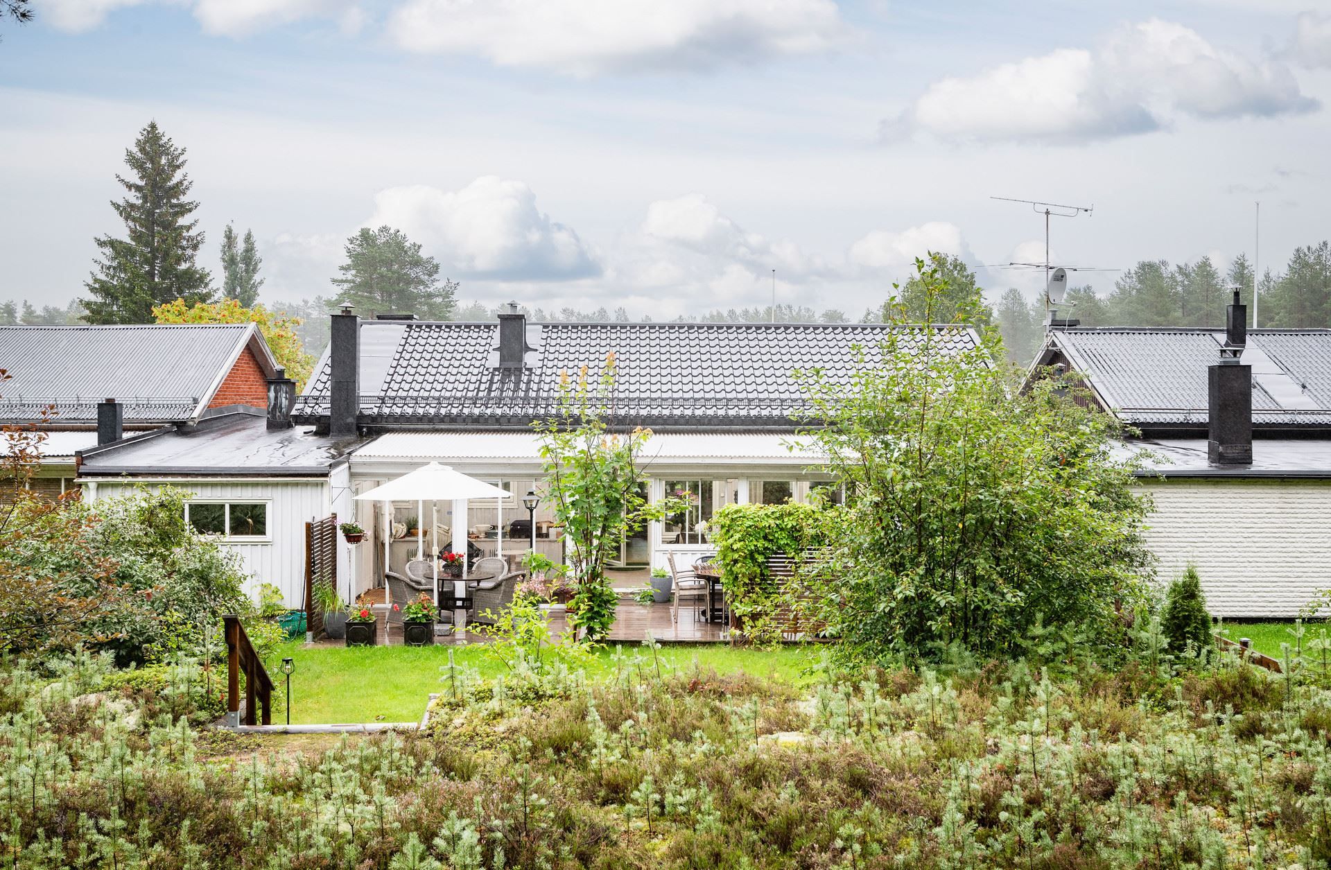 Trädgård