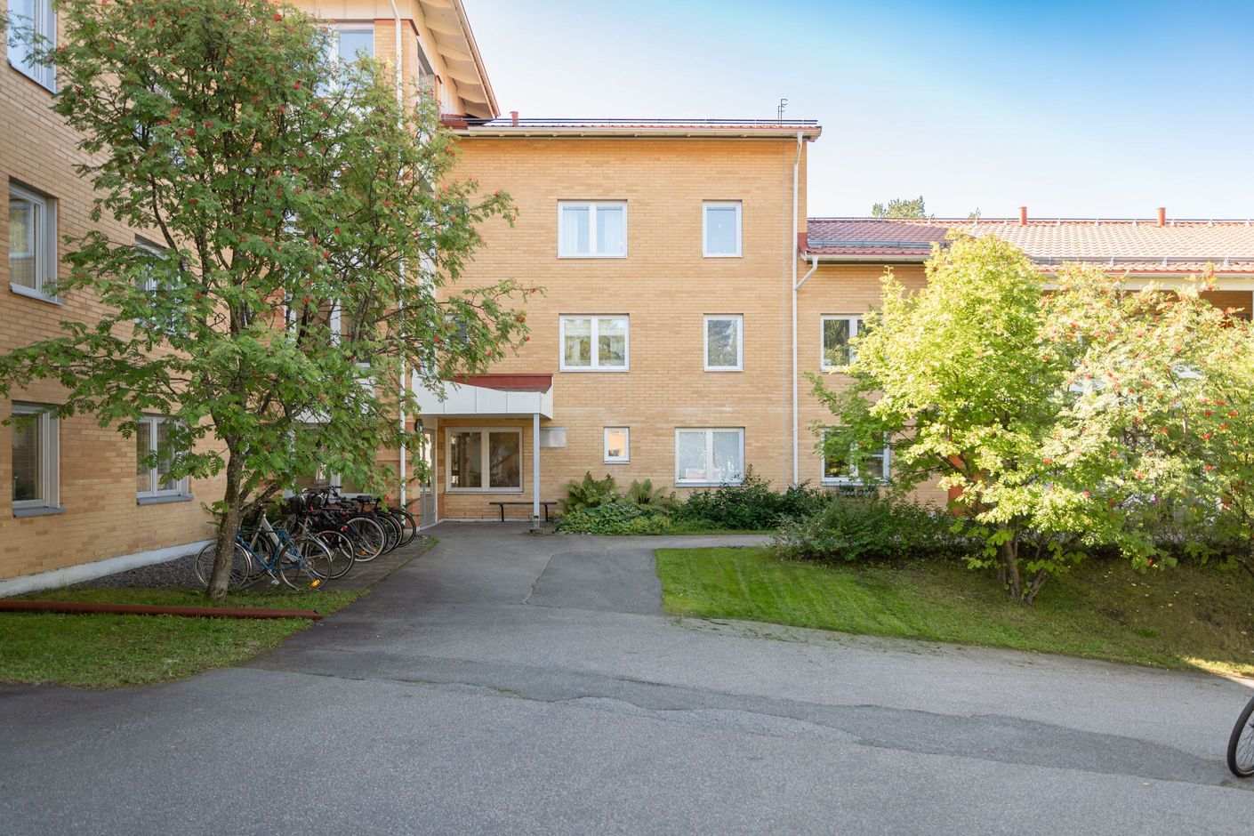 Exteriör
