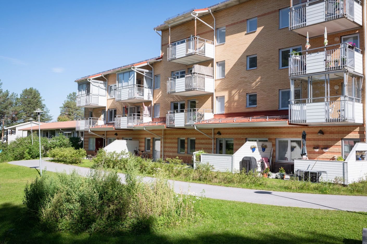 Exteriör