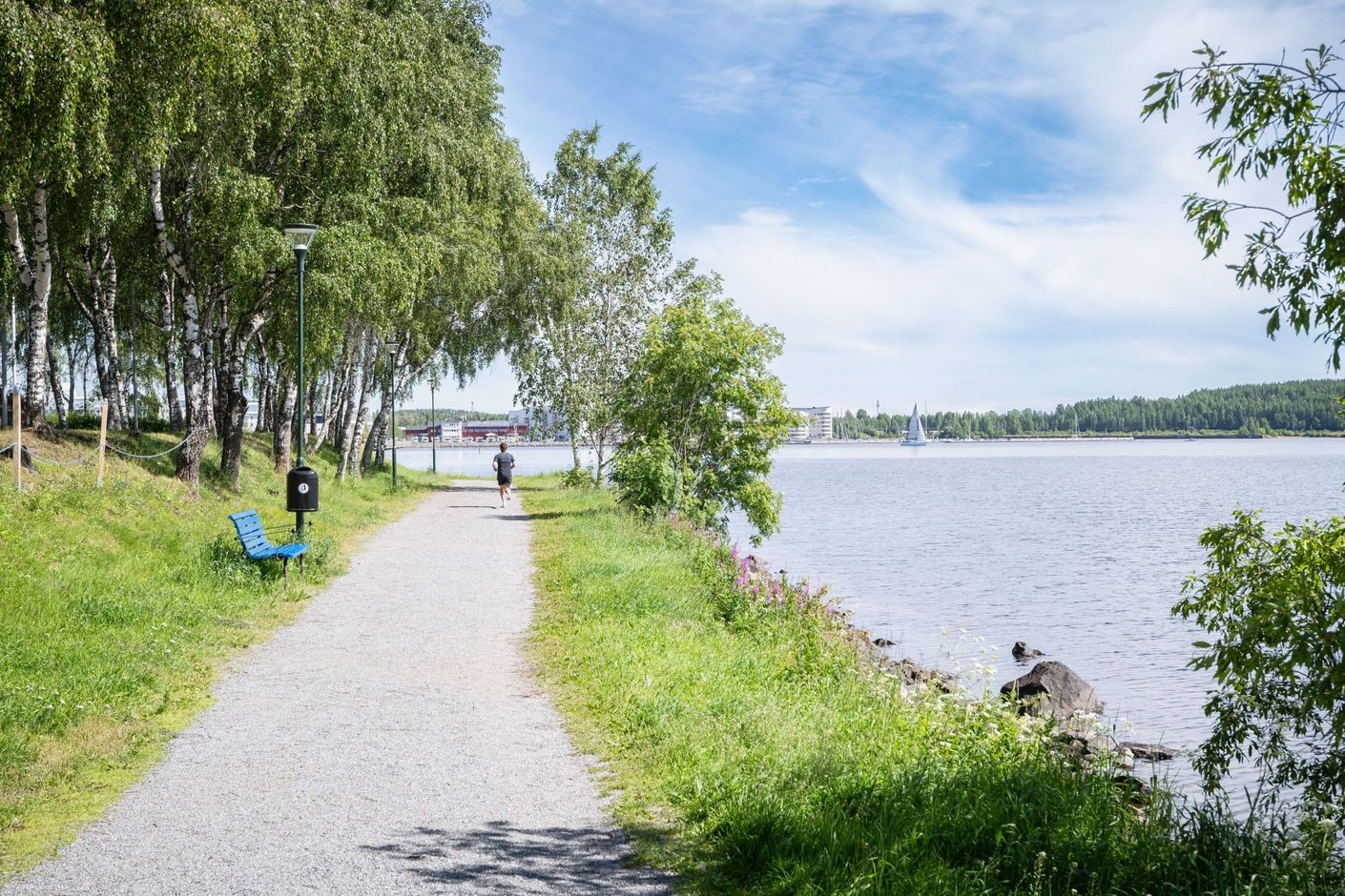 Bildkategori