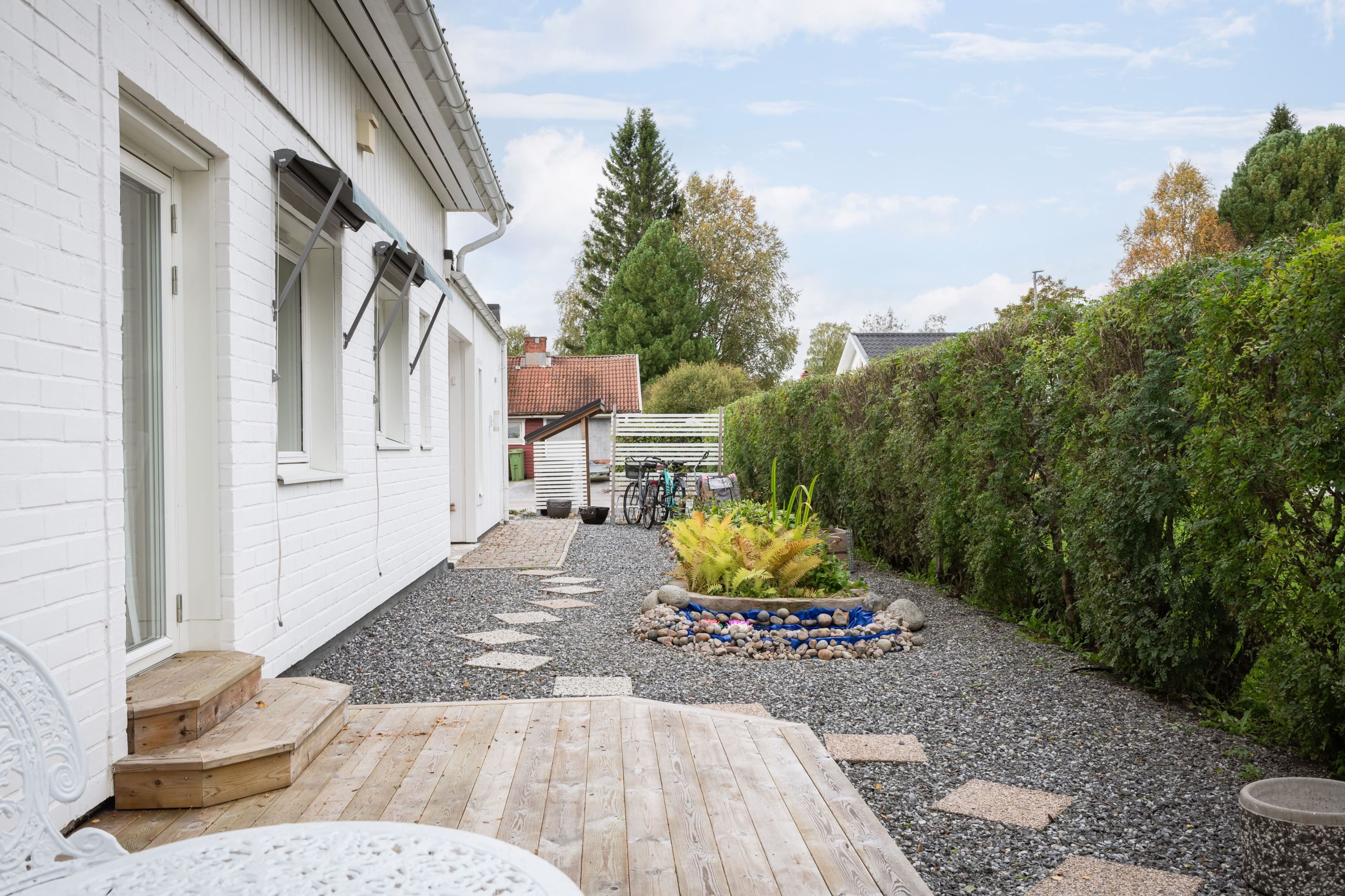 Trädgård
