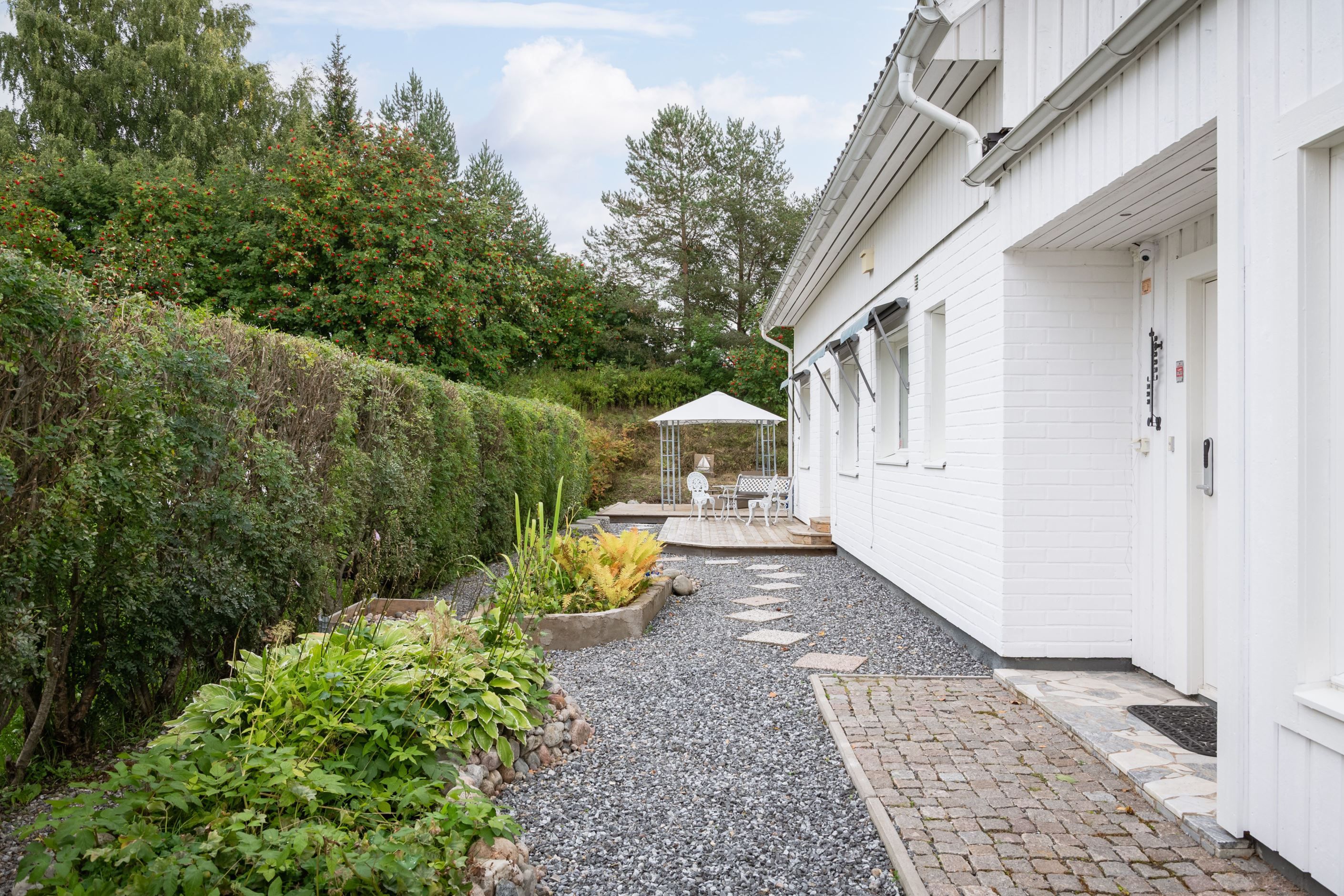 Trädgård