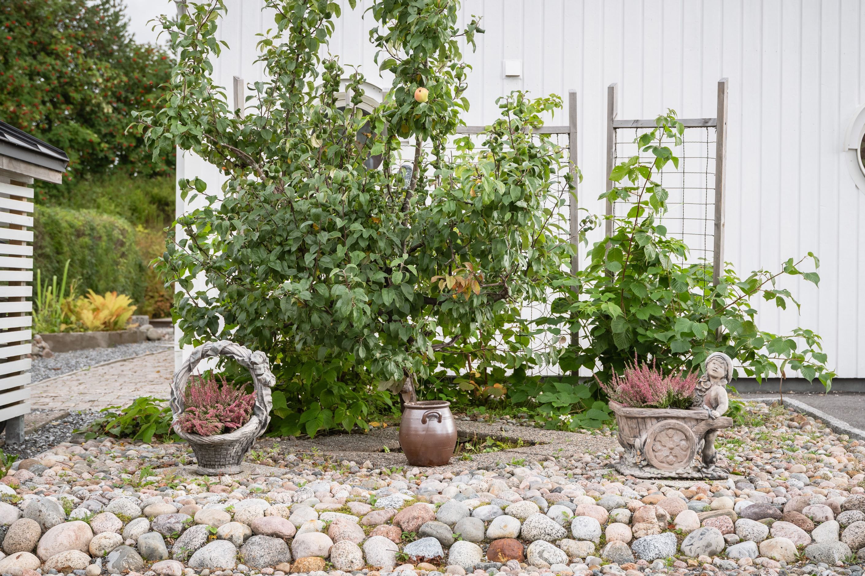 Trädgård