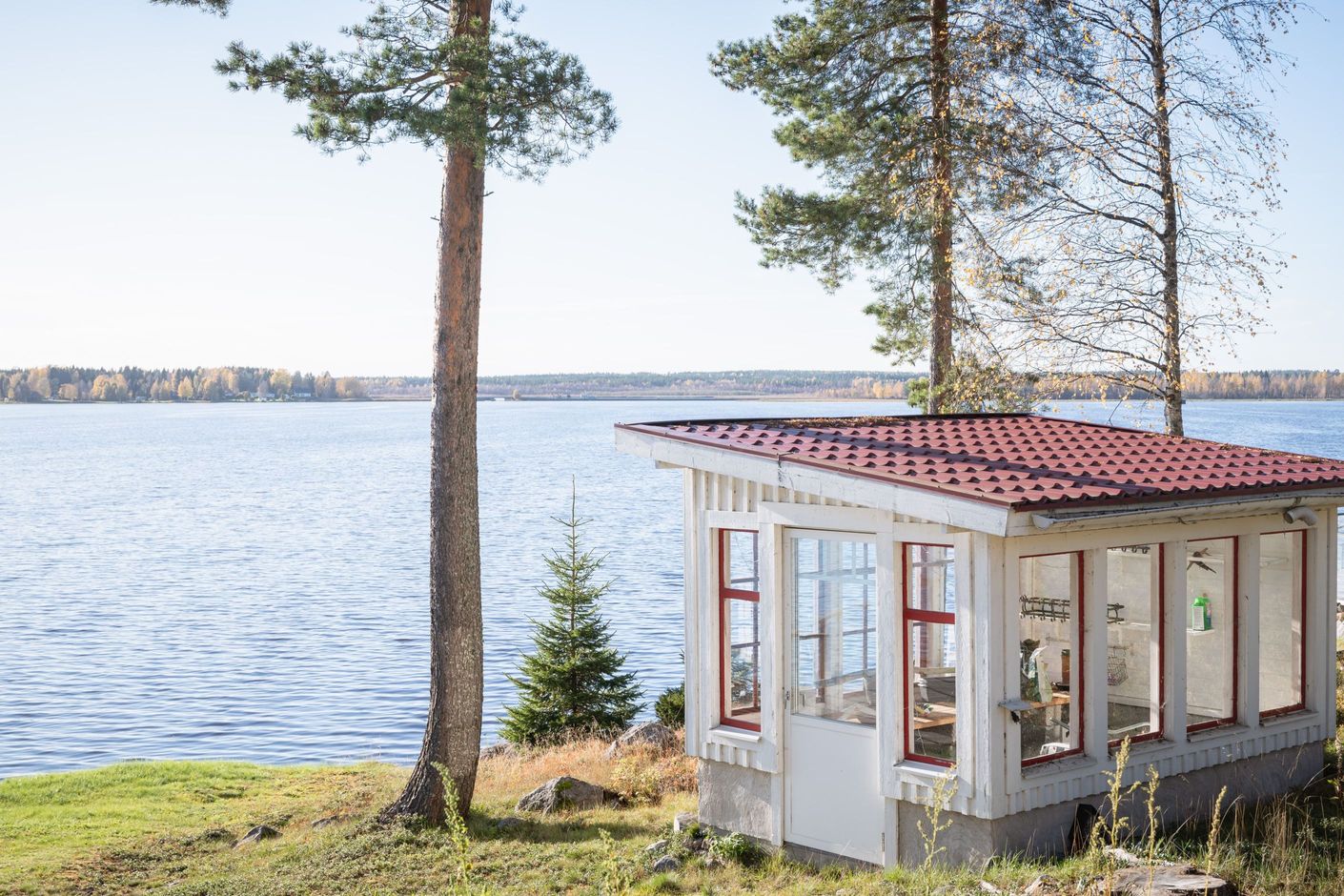 Växthus
