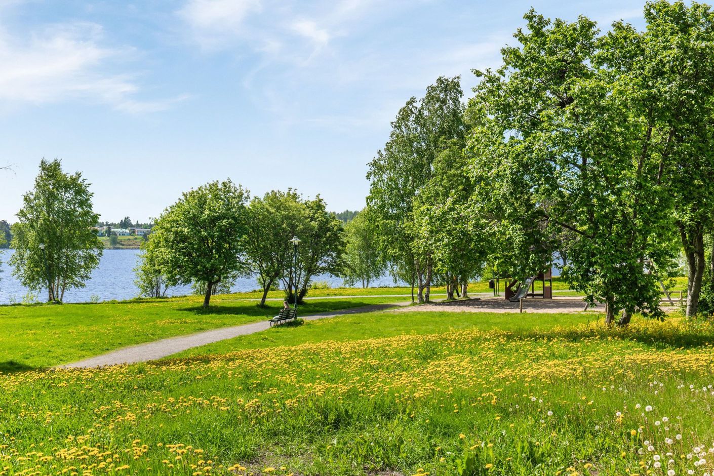 Bildkategori