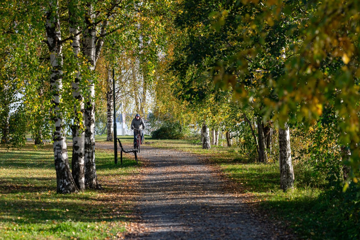 Bildkategori