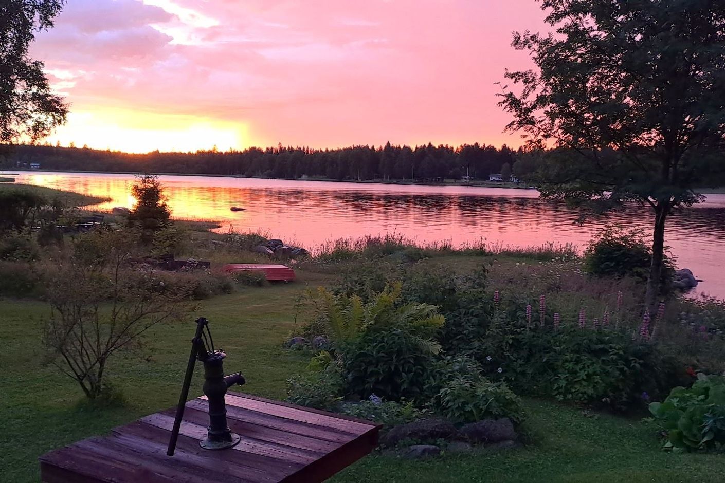 Säljarens sommarbild