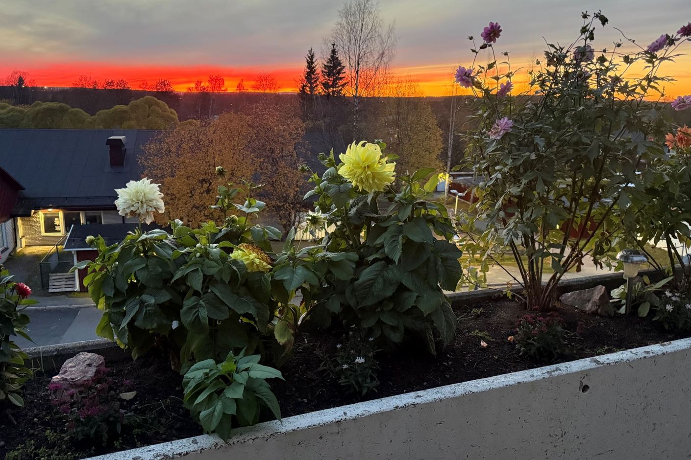 Säljarens bild