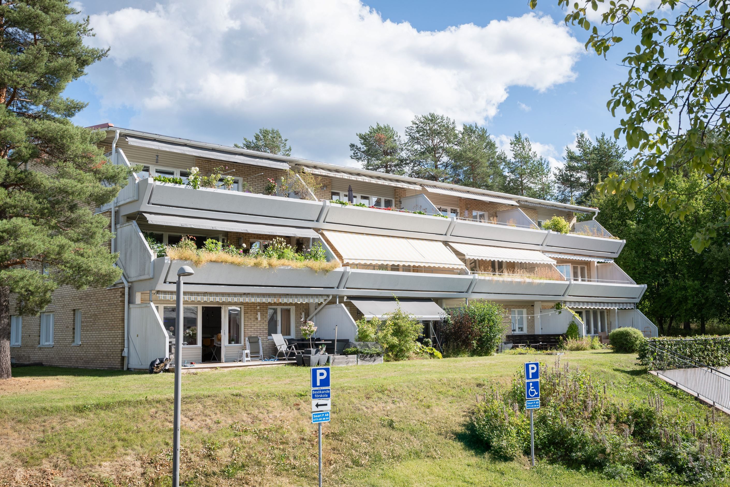 Exteriör