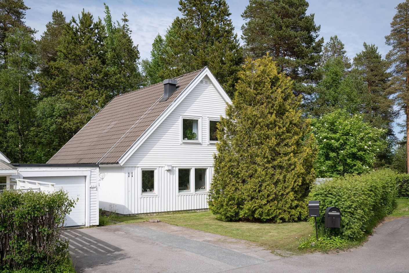 Exteriör