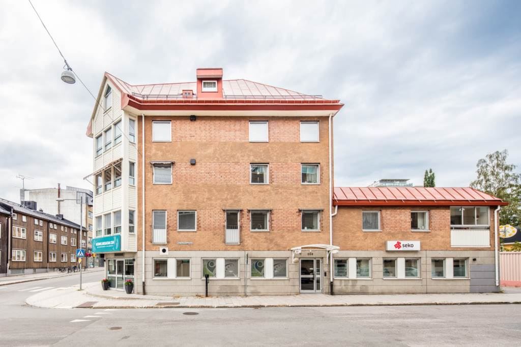 Lågupplöst
