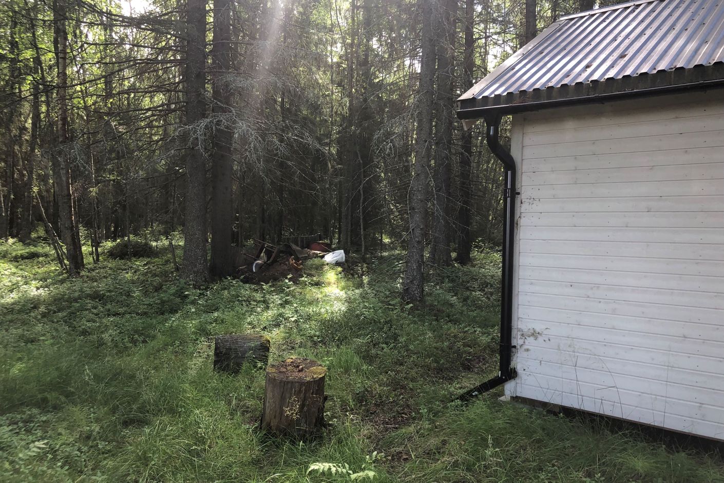 Säljarens bilder