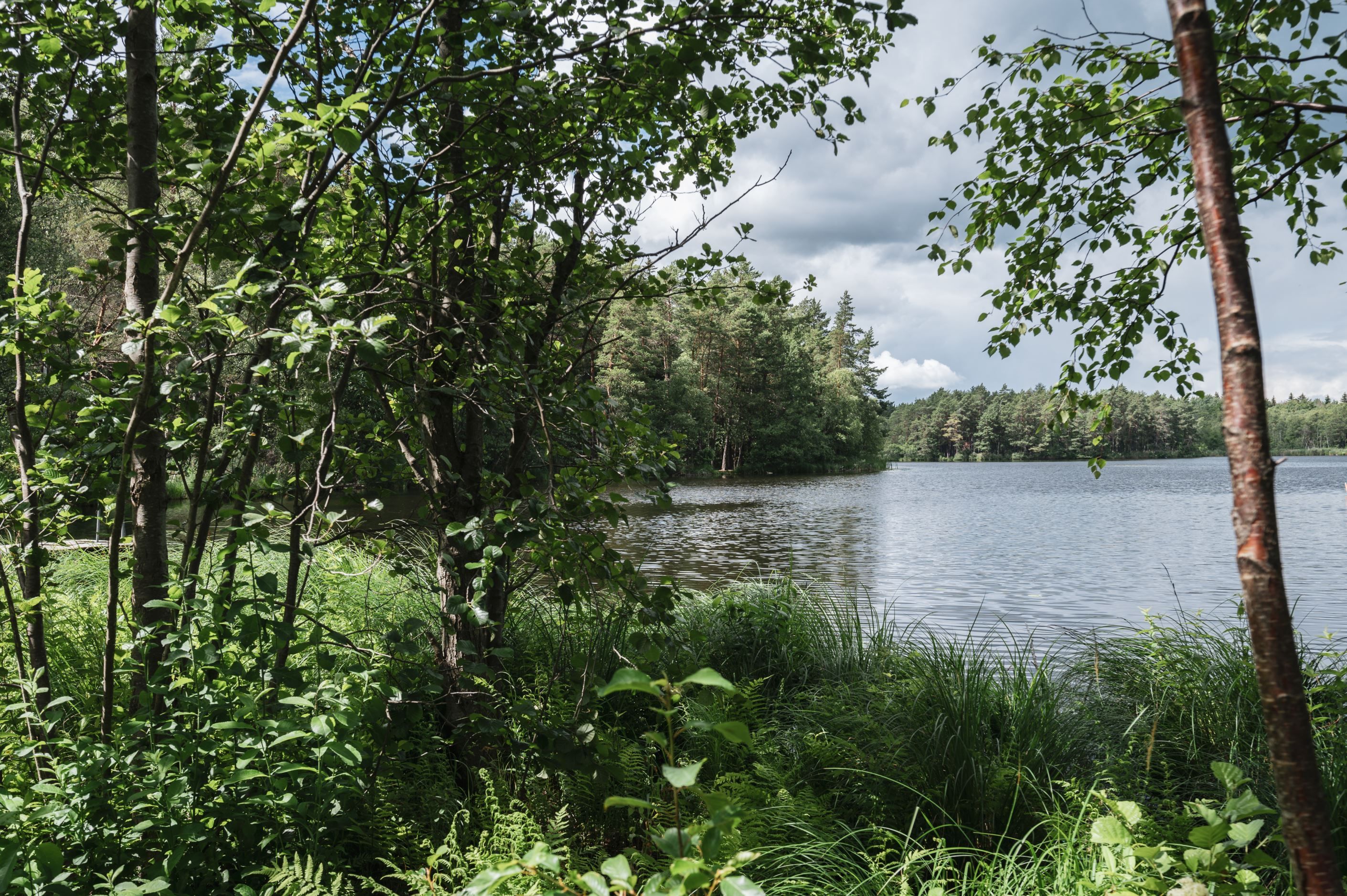 Mörtsjön