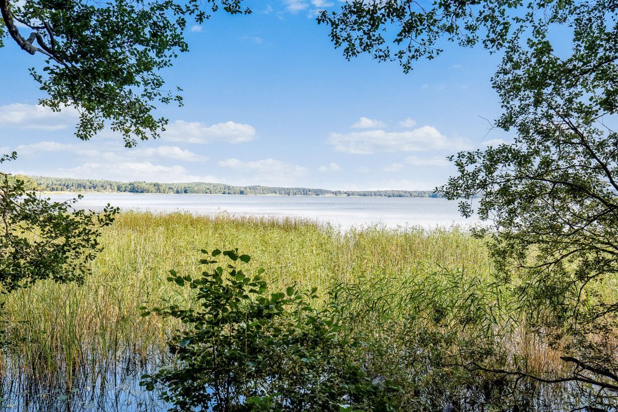 Ullna sjön