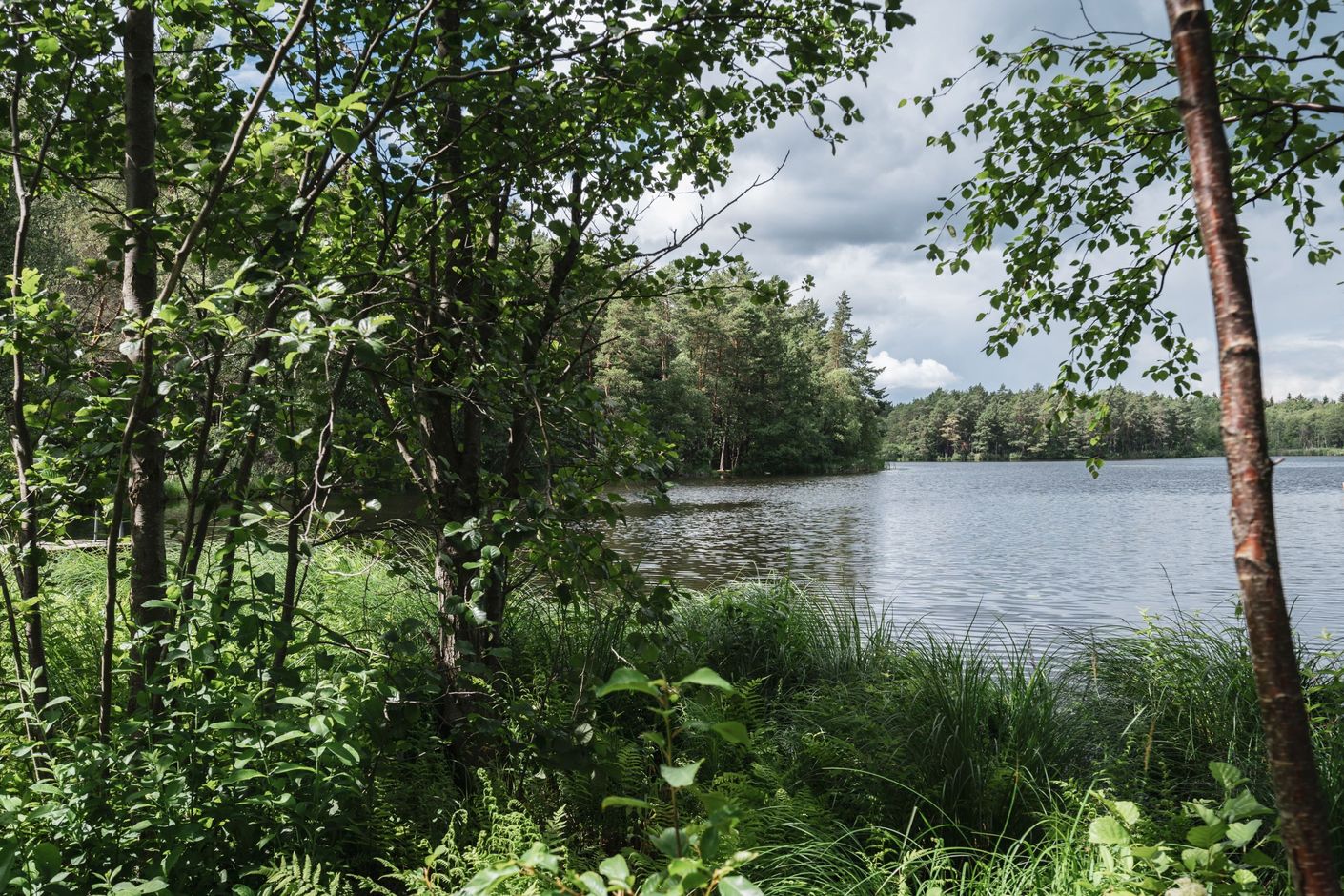 Mörtsjön