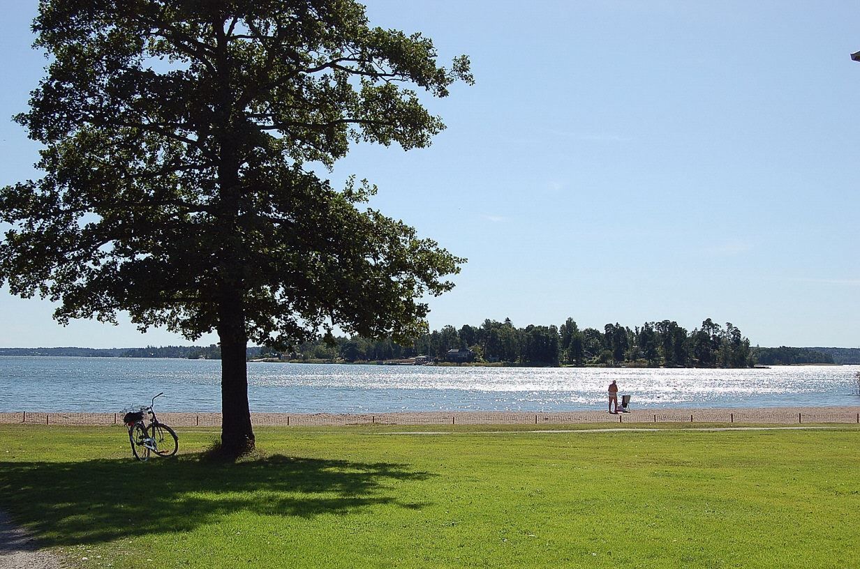 Näsa Äng sommar