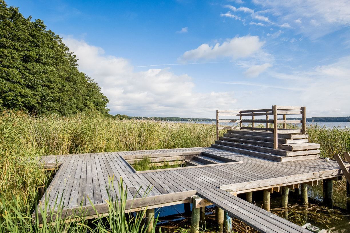 Brygga Strandskogen