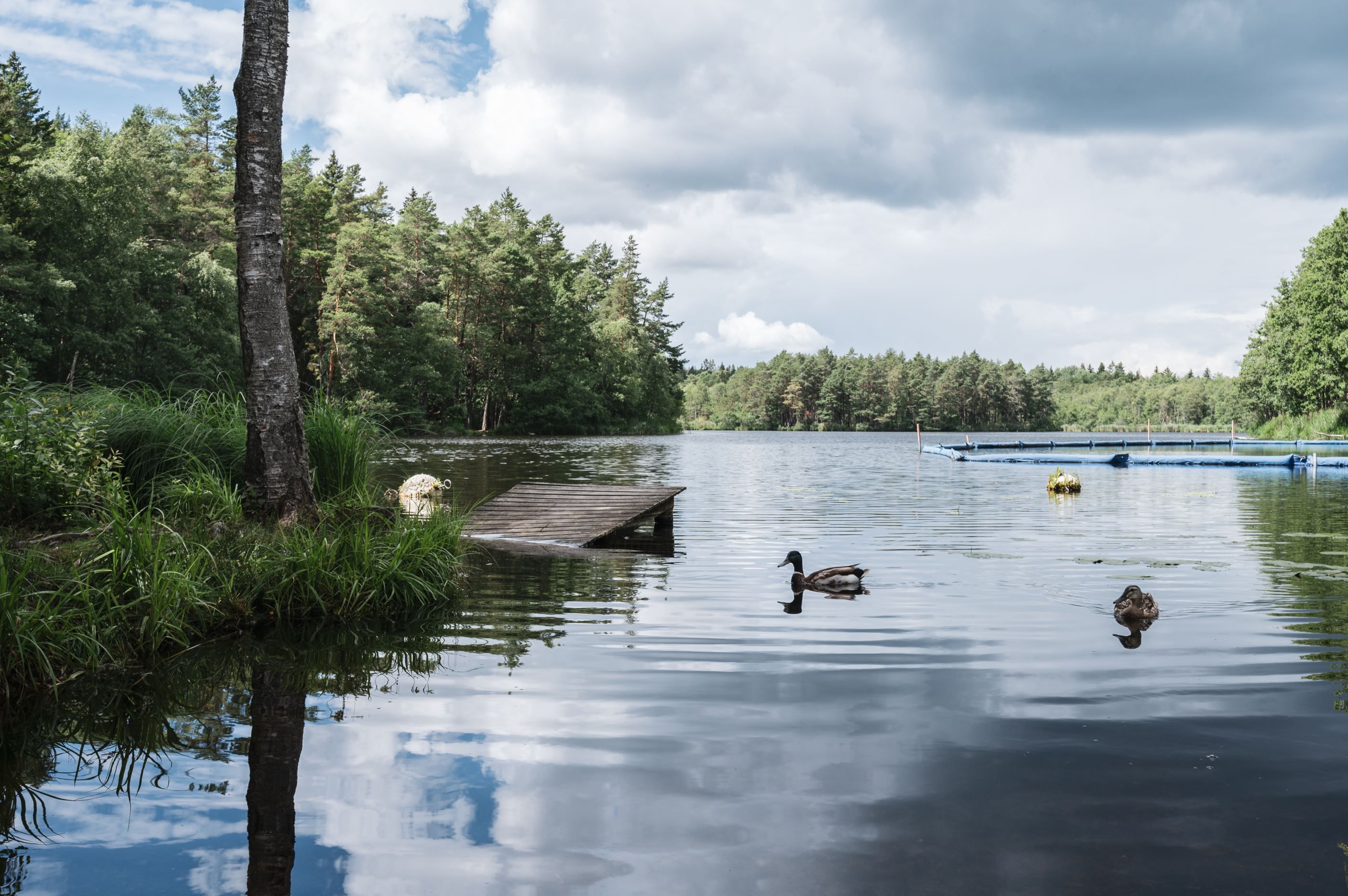 Mörtsjön
