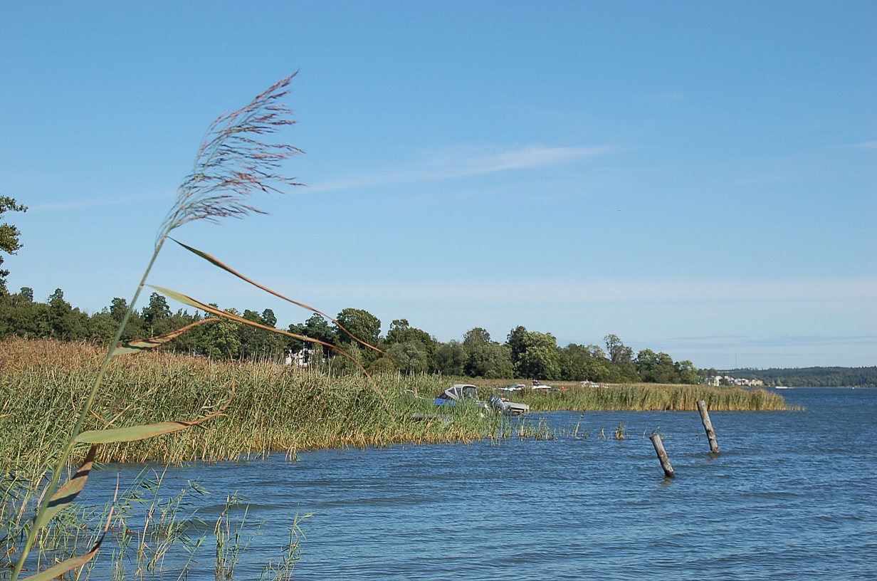 Slottsparken - hamnen för bastuholmen