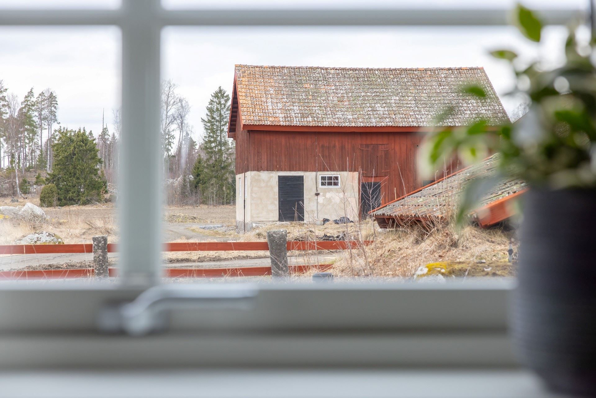 Utsikt från köket
