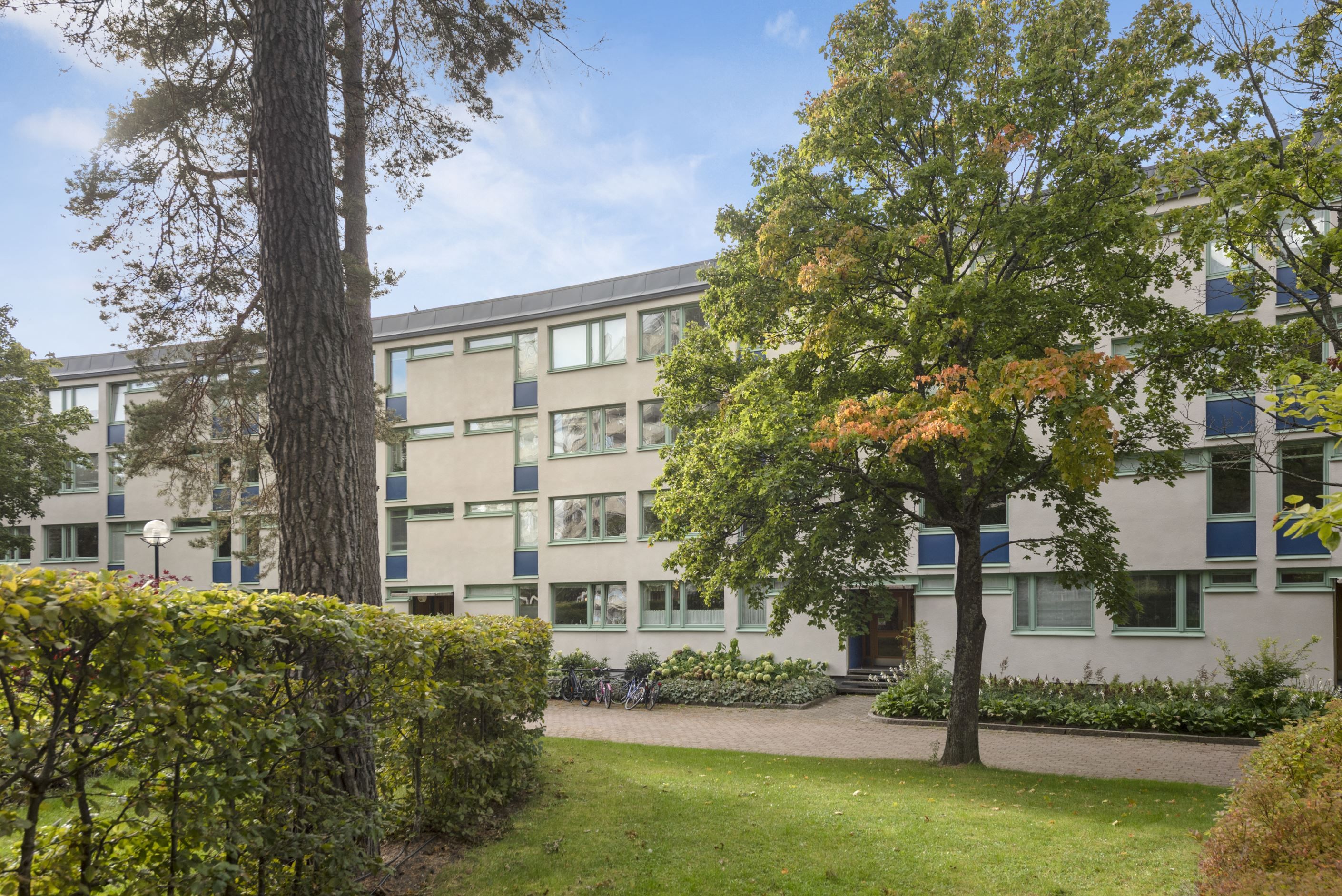 Exteriör