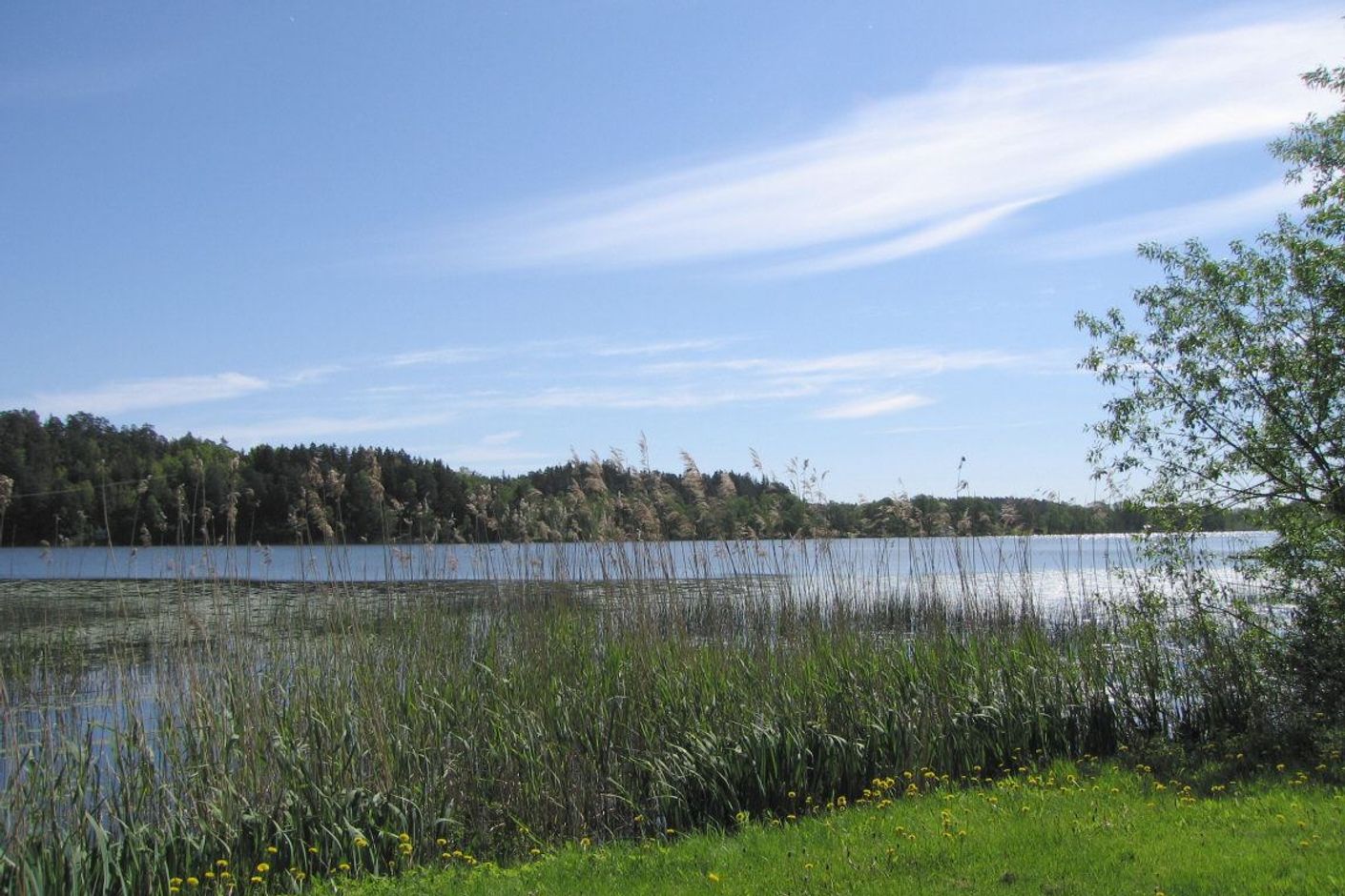 Rönningesjön sommar 1