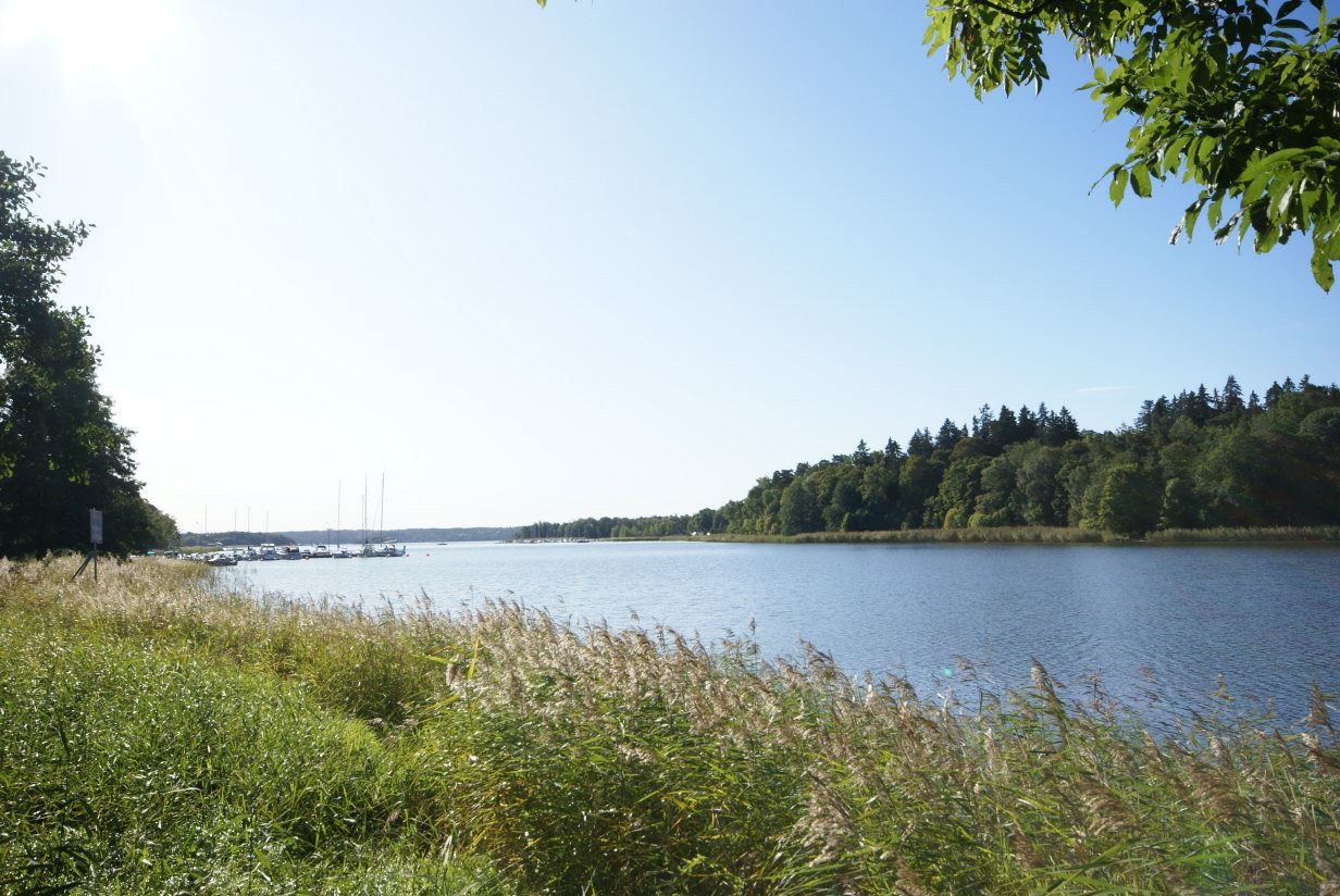 Näsbyviken