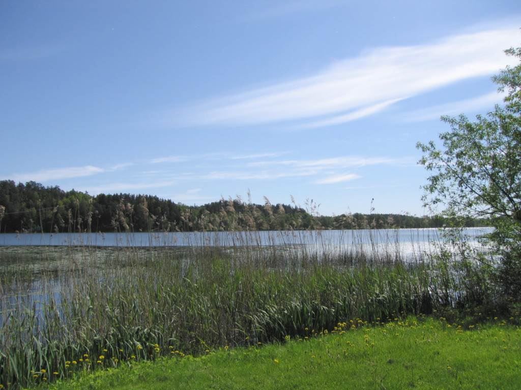 Lågupplöst Rönningesjön sommar