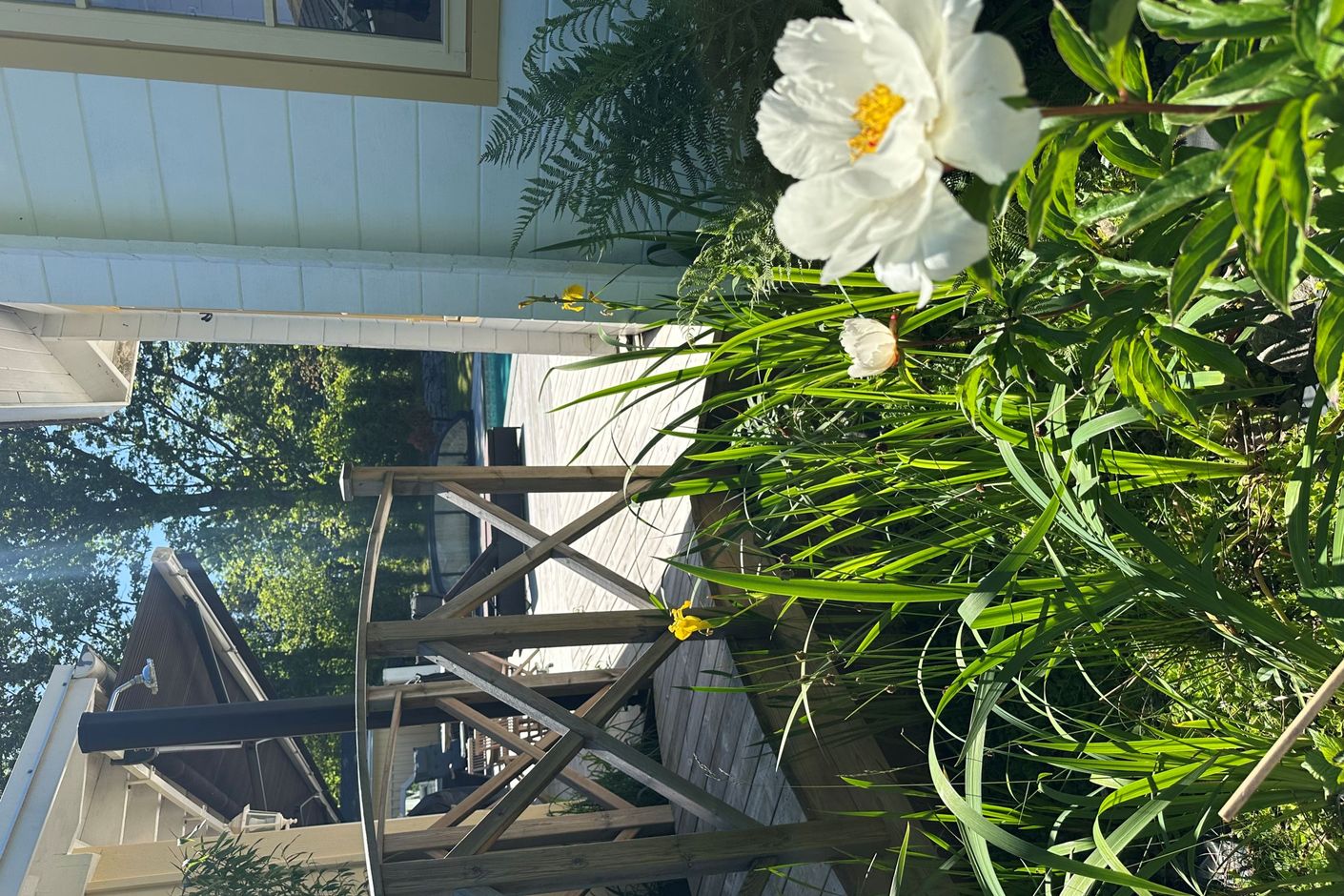 Säljarens sommarbilder
