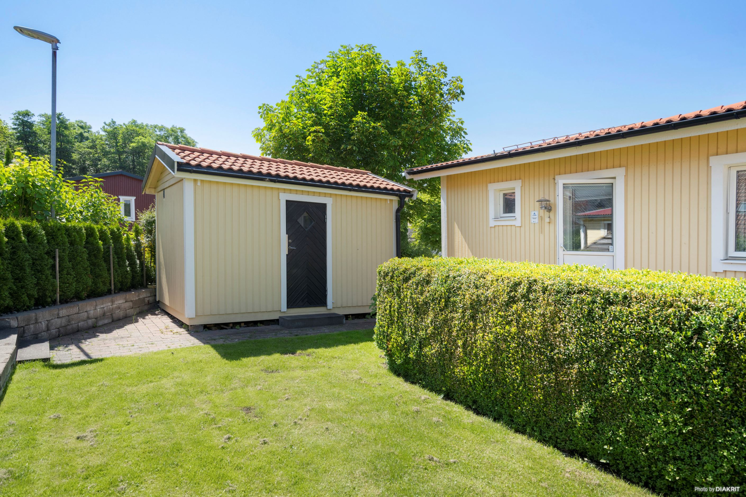 Exteriör