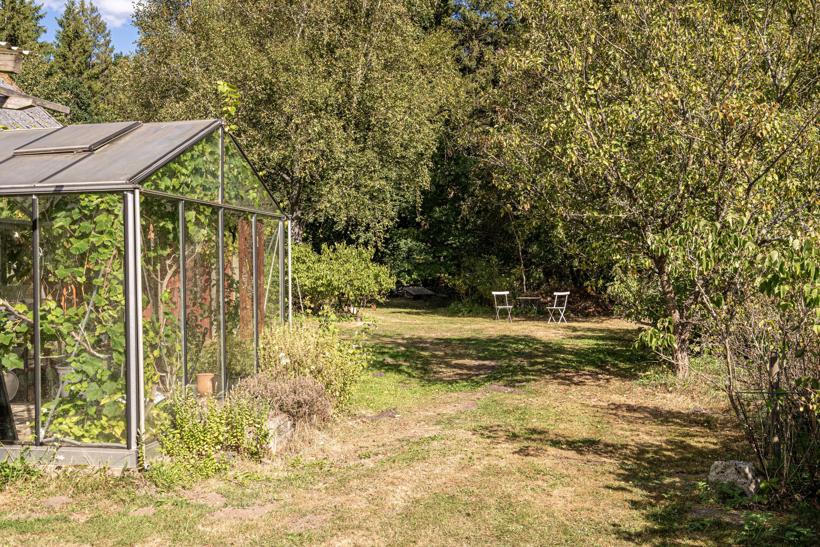 Stora odlingsmöjligheter i växthuset på södersidan