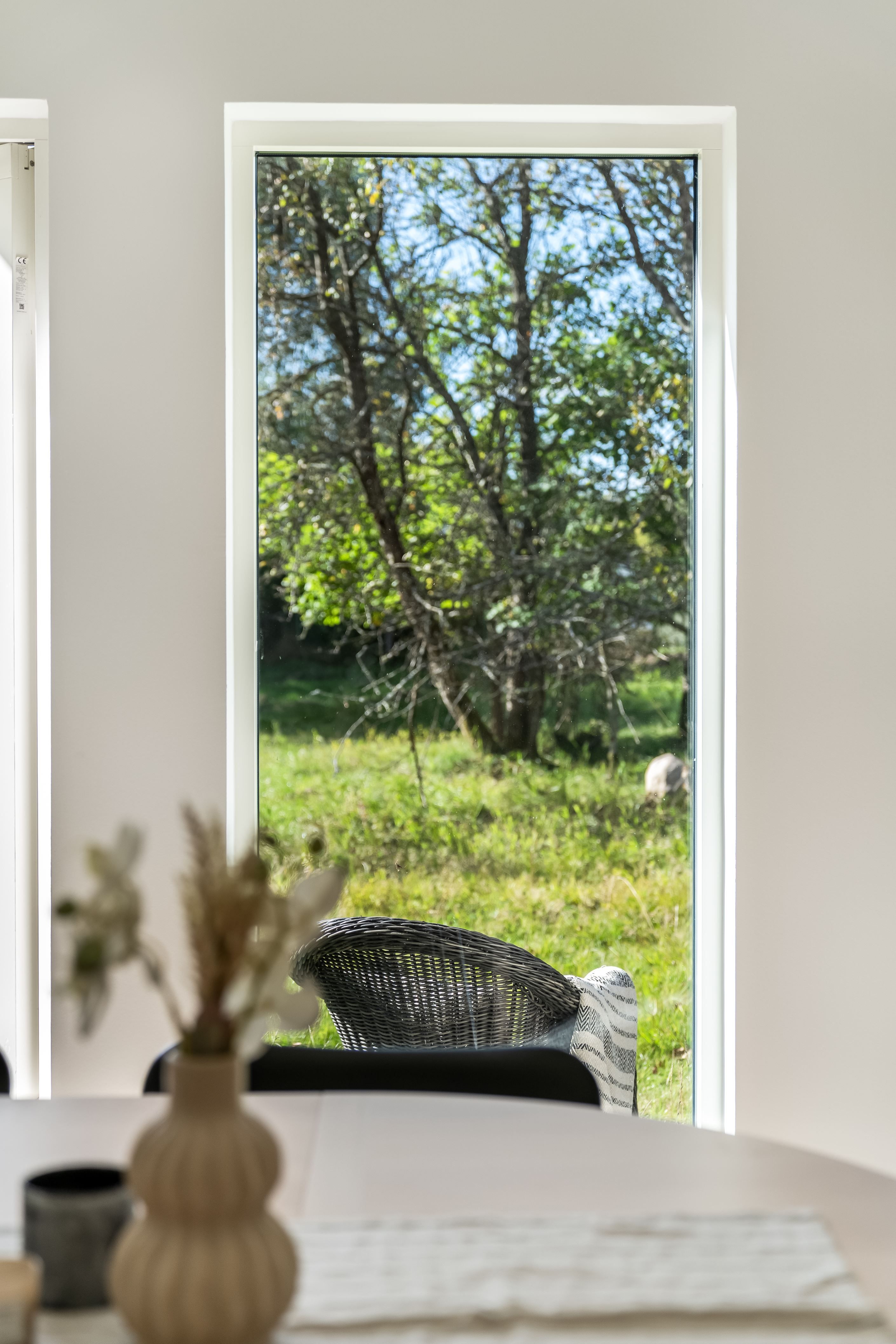 Utsikt över tomten från allrummet