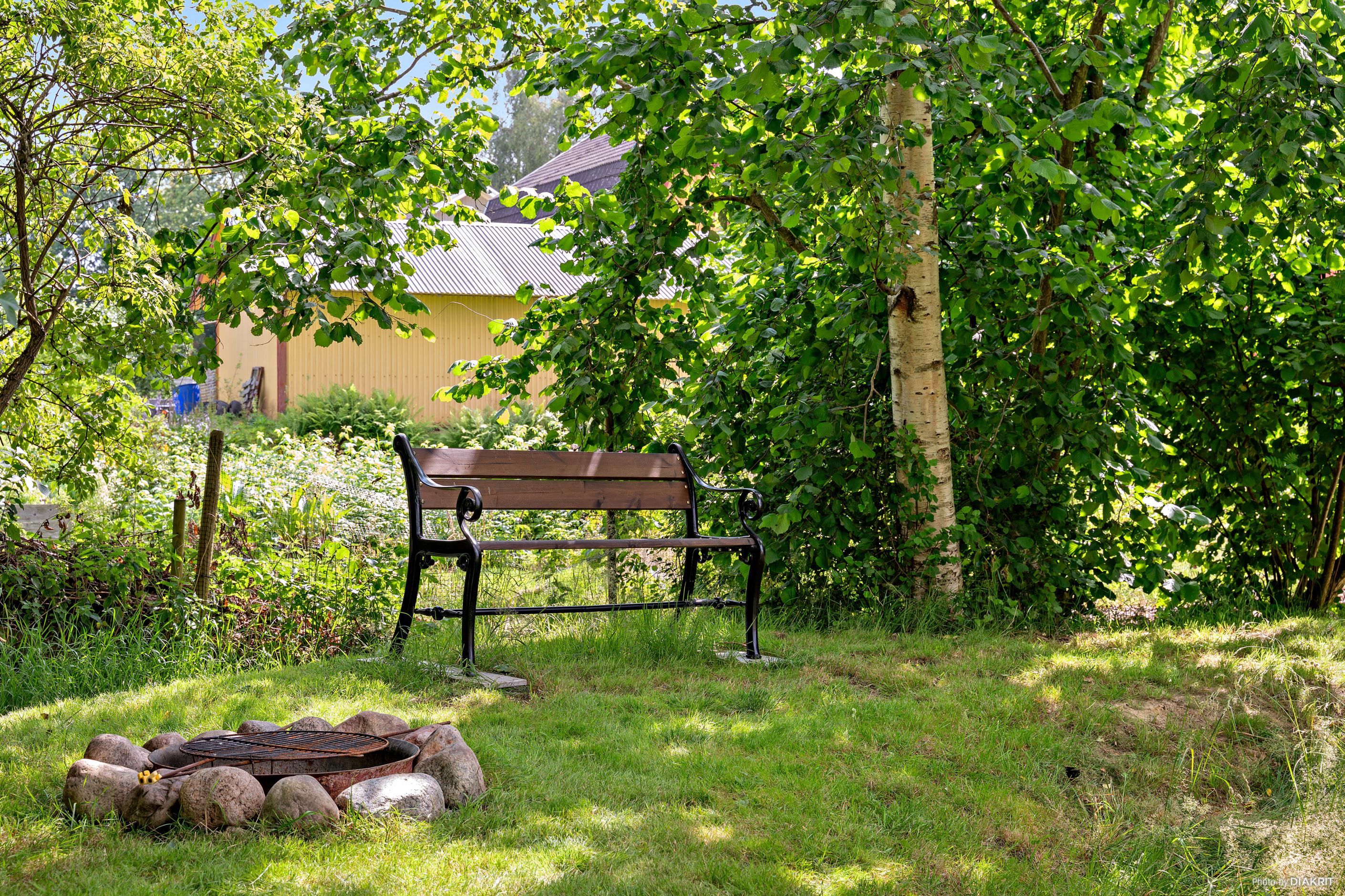 Grillplats i ena hörnet på tomten, framför en stor potentiell damm