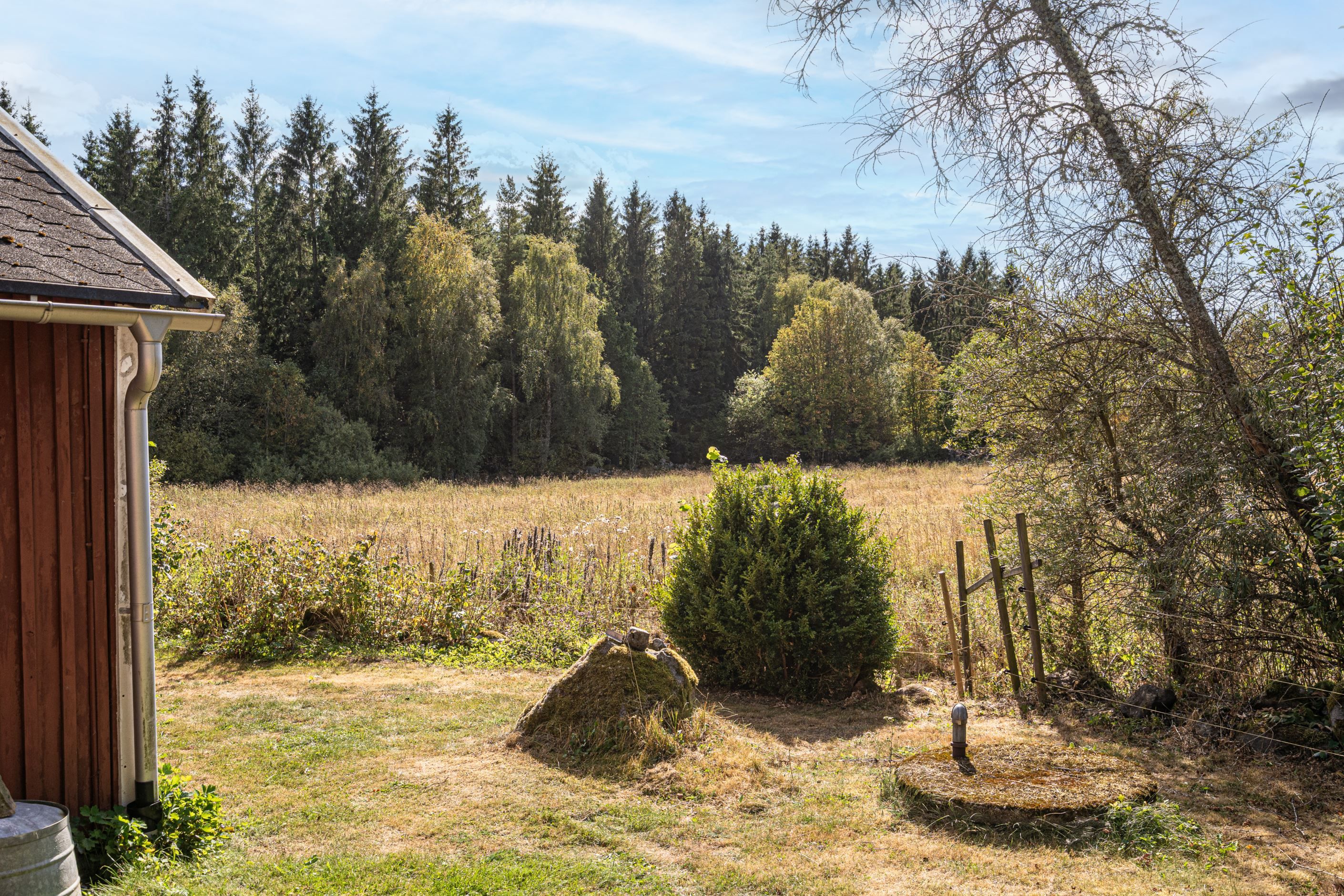 Ängar och skog som närmsta granne