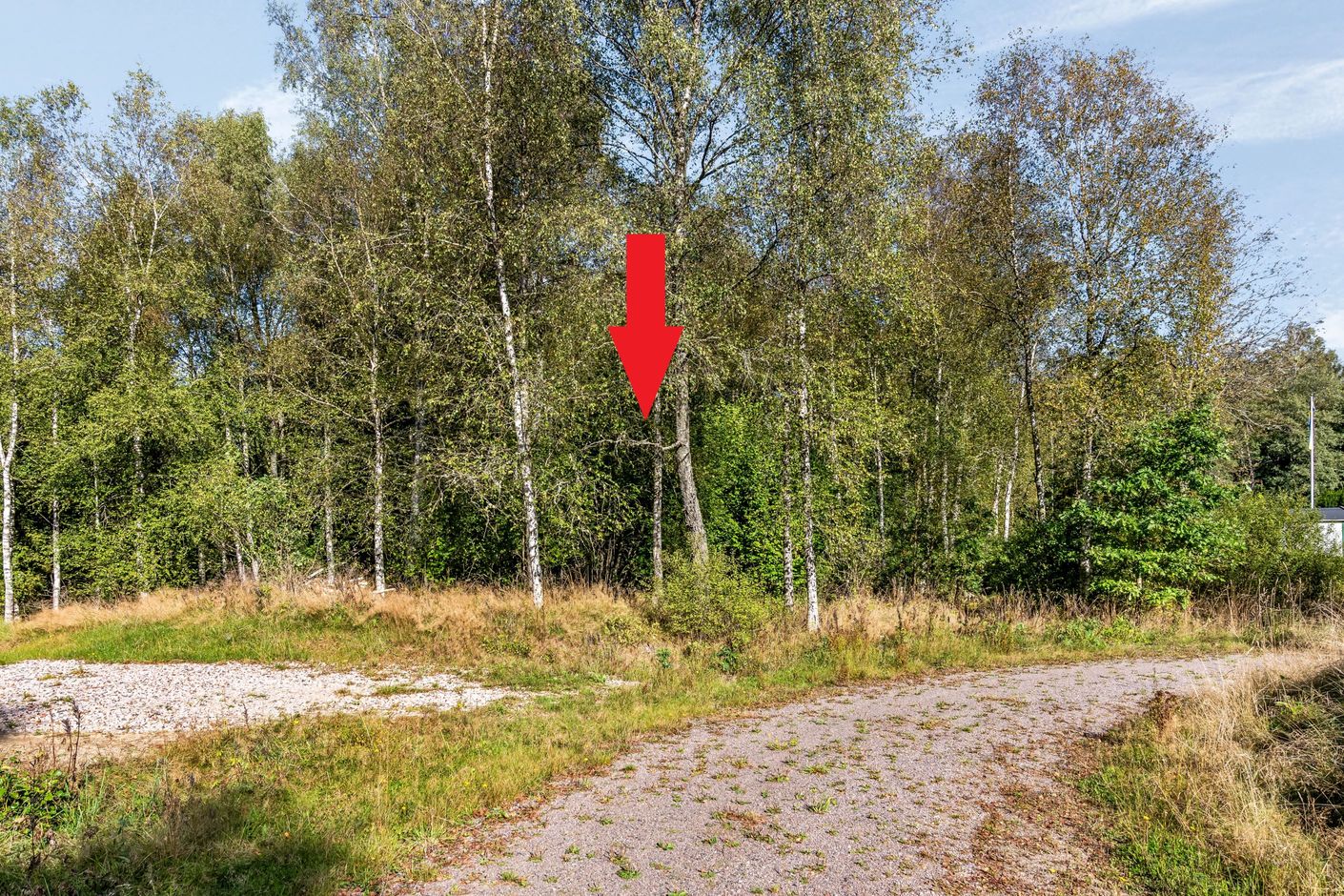 Fasanstigen 2