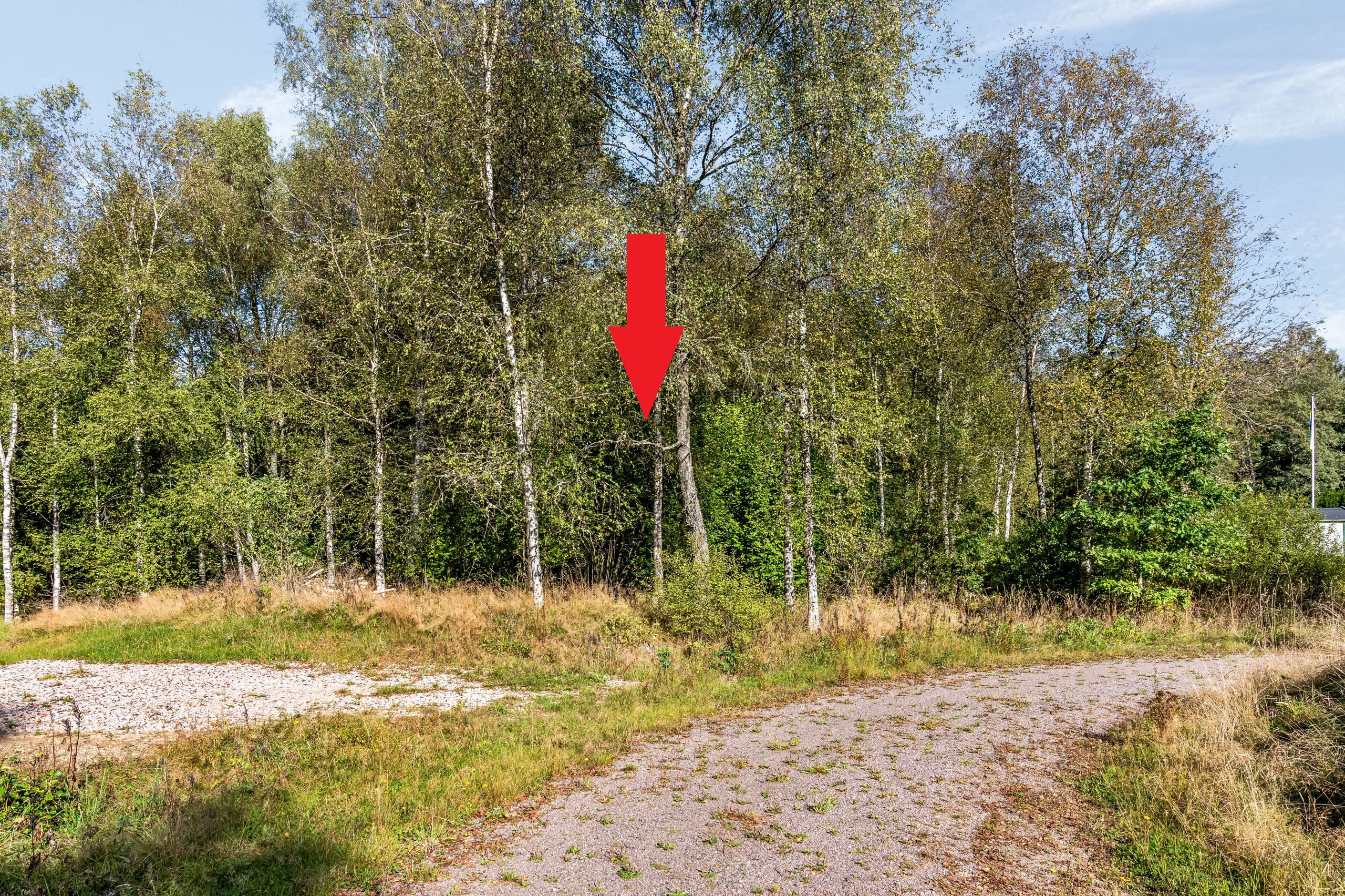 Fasanstigen 2