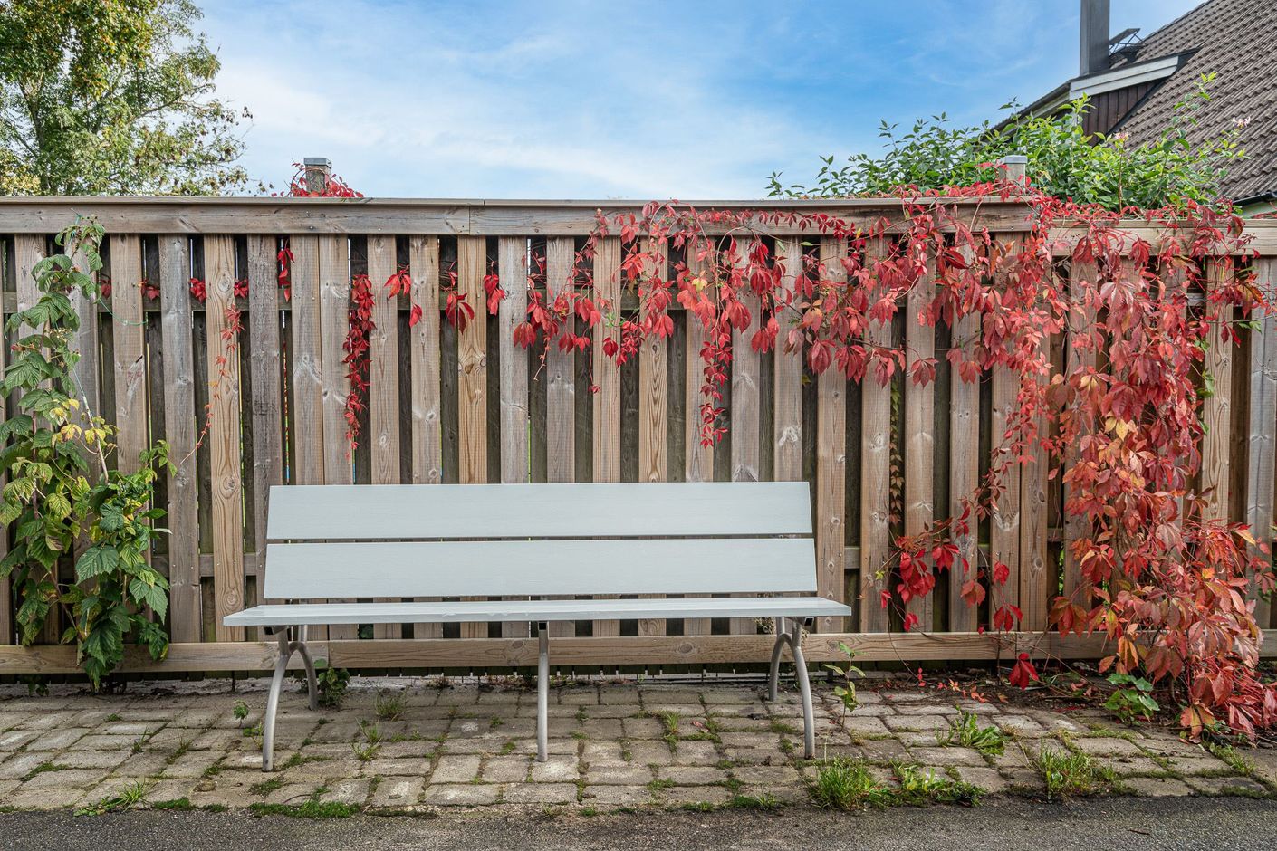 Höstfärger längst planket vid uppfarten