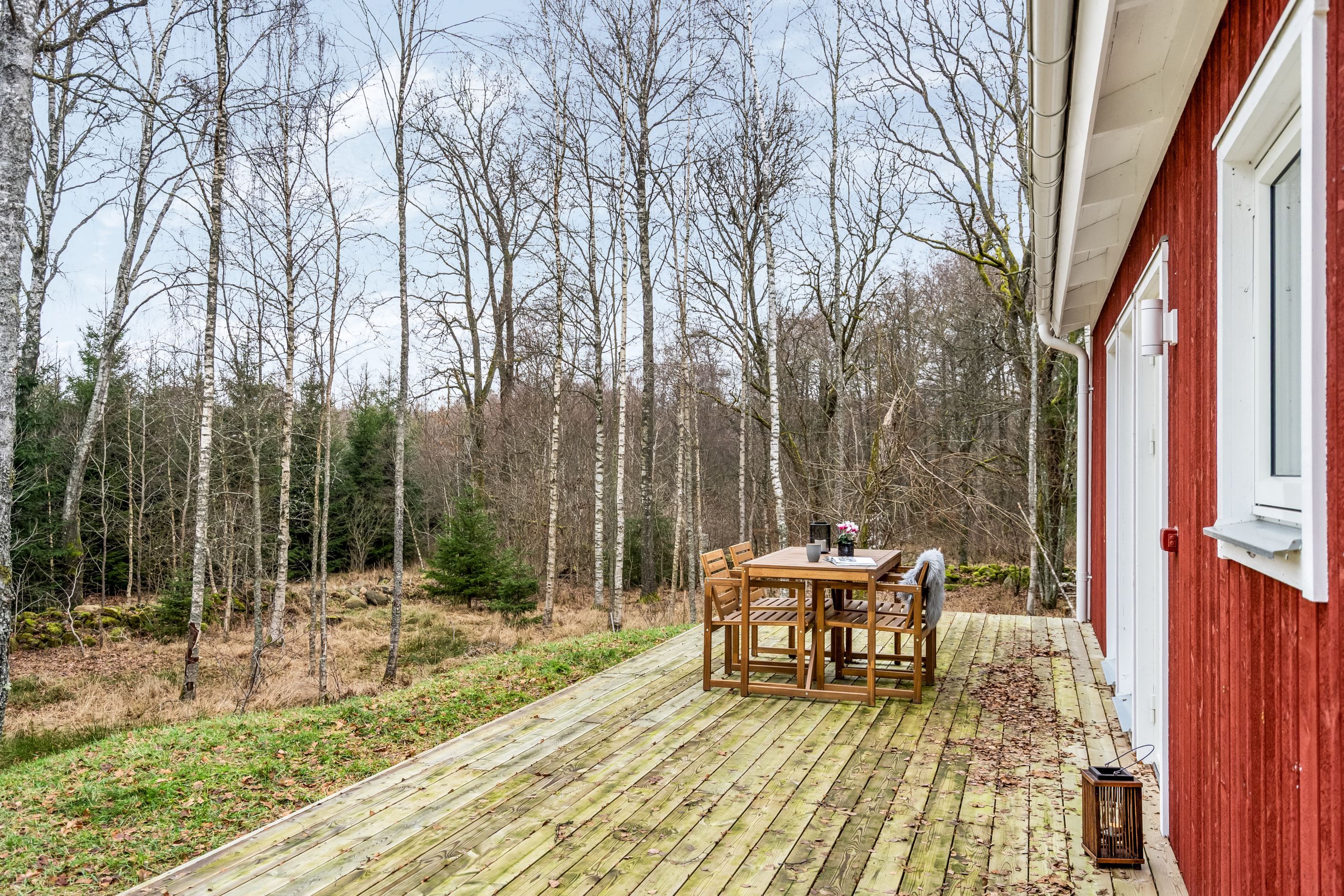 Stort trädäck med skogen som närmsta granne