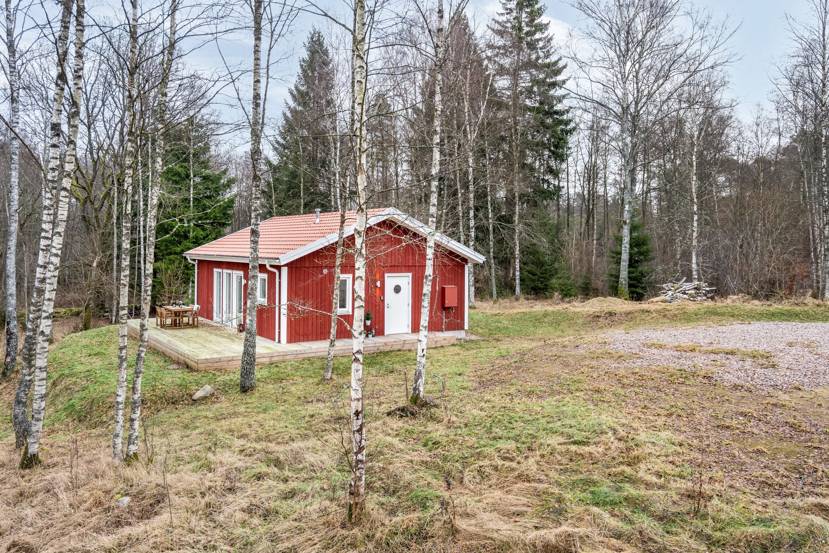 Vackra björkar växer precis vid huset