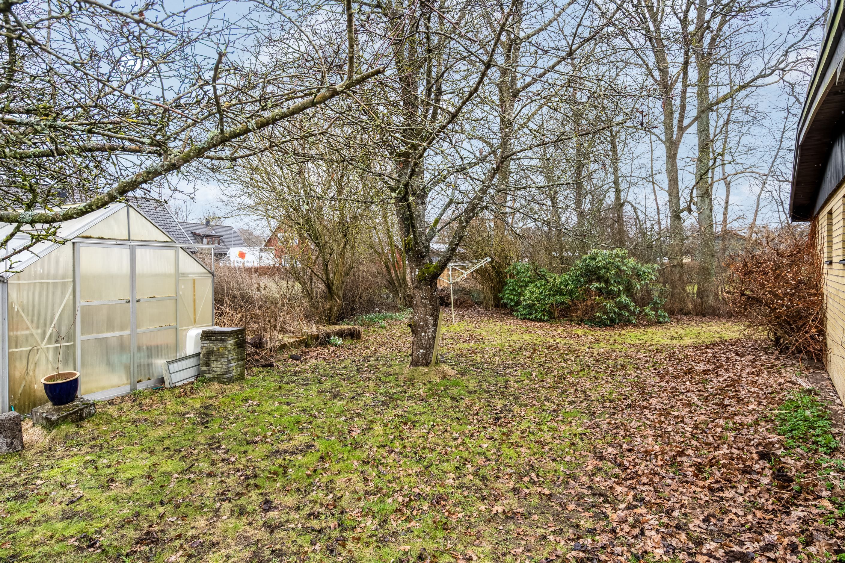 Växthus i trädgården för den odlingsintresserade