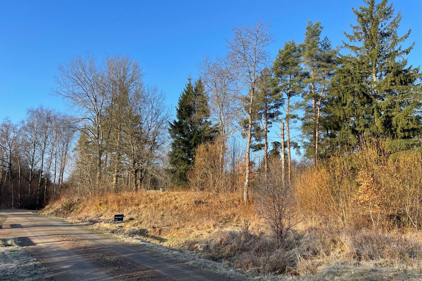 Lugn väg med endast ett fåtal hus