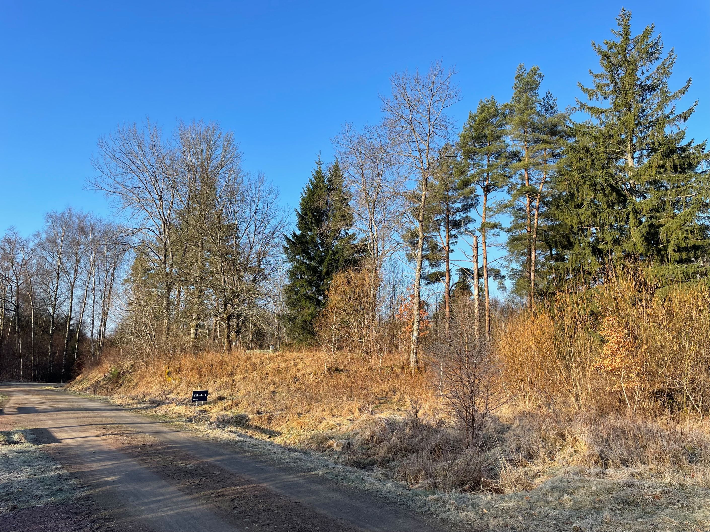 Lugn väg med endast ett fåtal hus